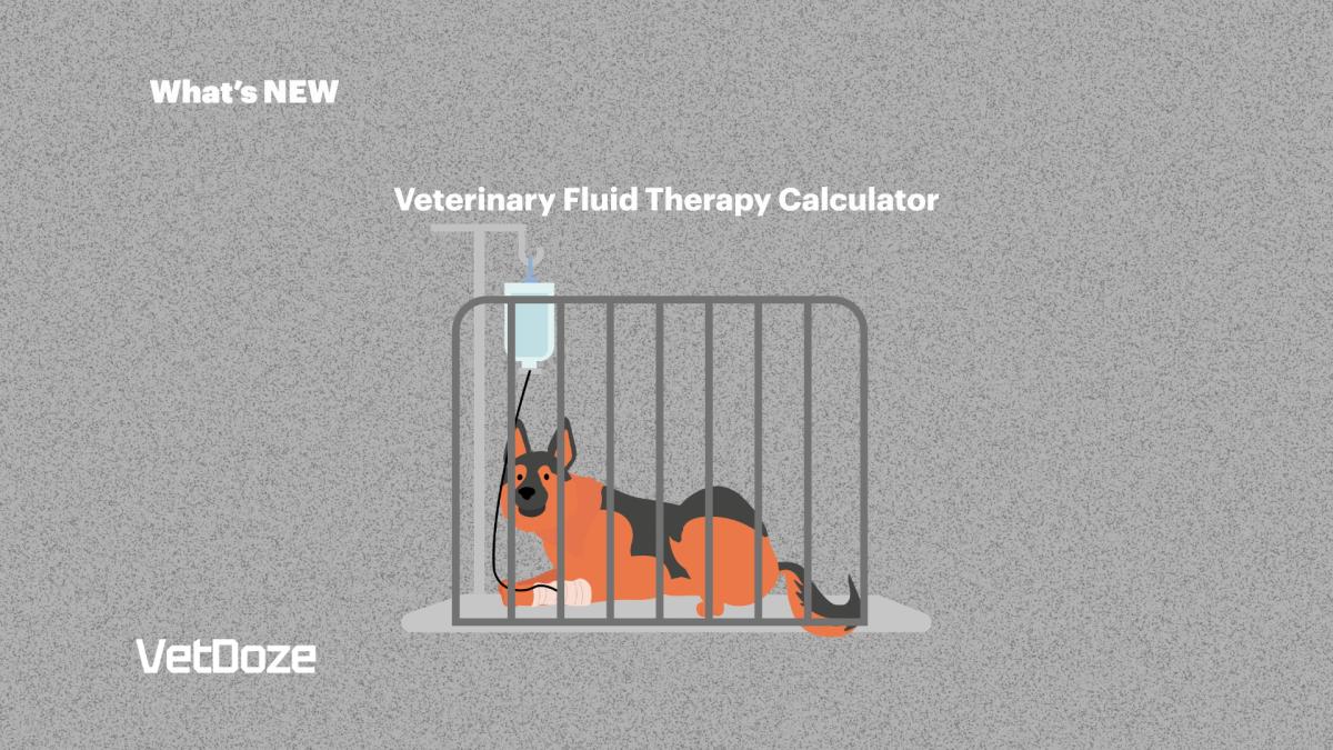 Veterinary Fluid Therapy Calculator