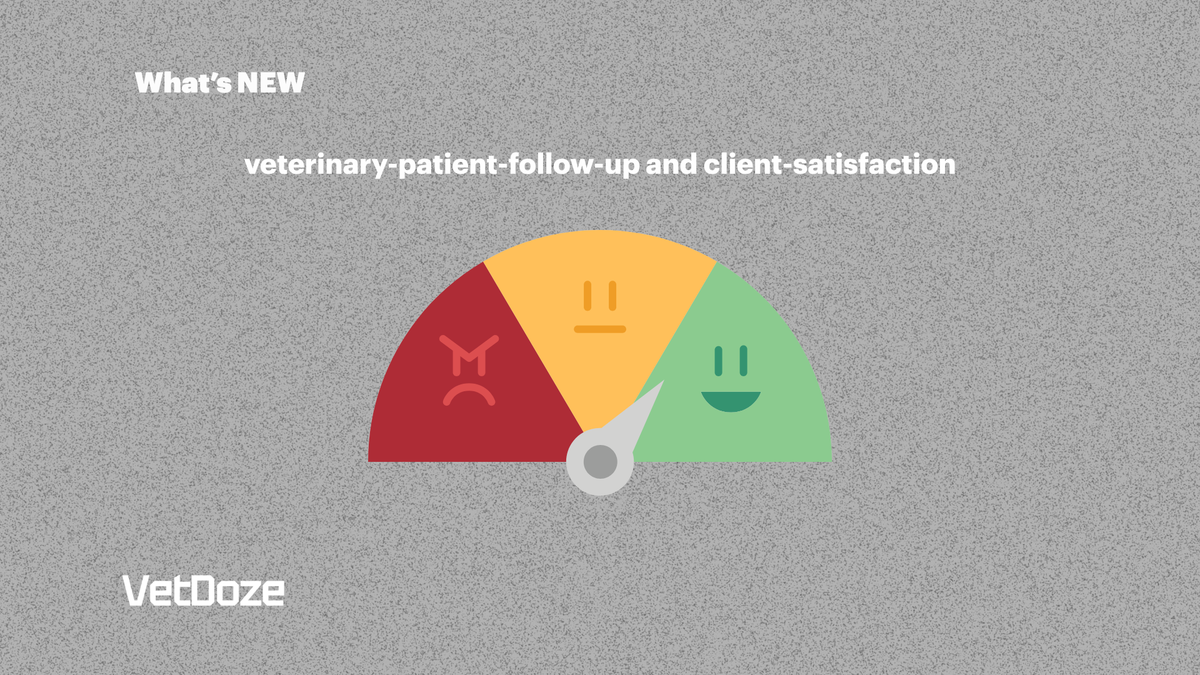 client satisfaction
