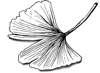 A black and white leaf serving as the logo of MPC