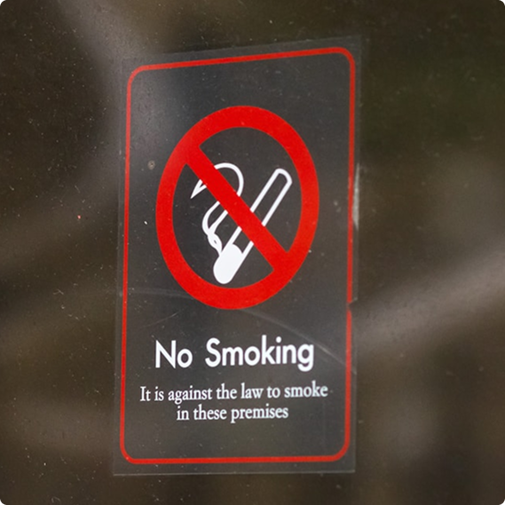 Window Clings (Clear) + White Thumbnail 2