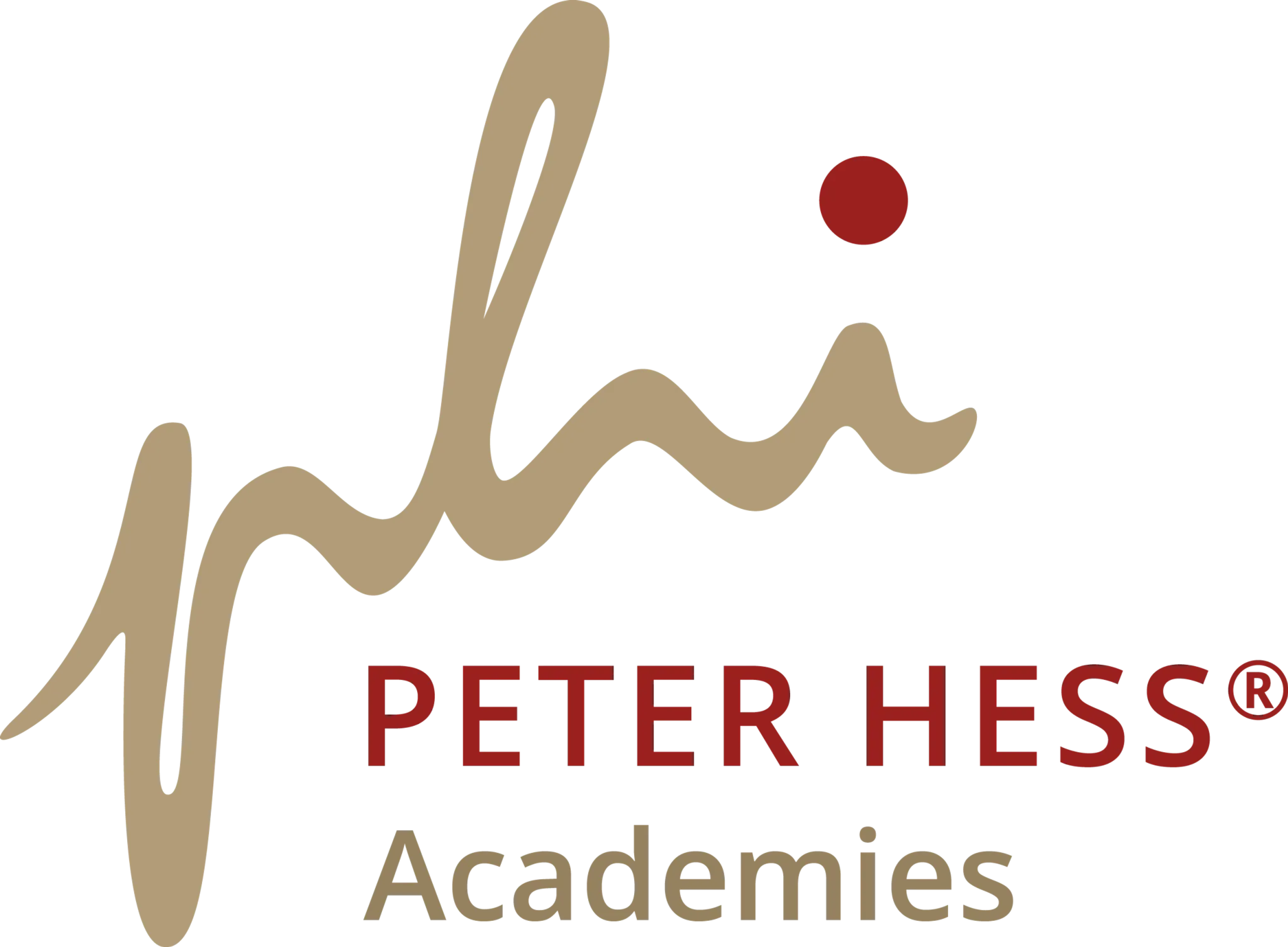 Peter Hess Academies logo