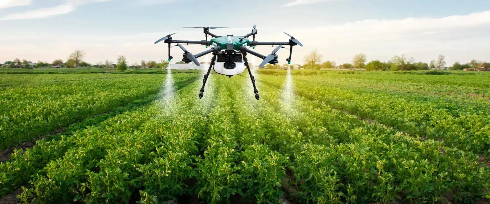 Technology meets Agriculture: Digital revolution in the industry