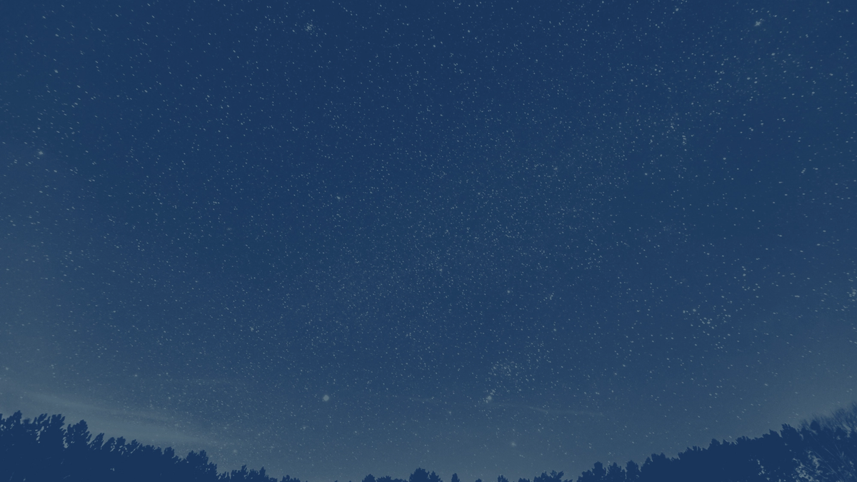 Photo of a starry sky and tree line