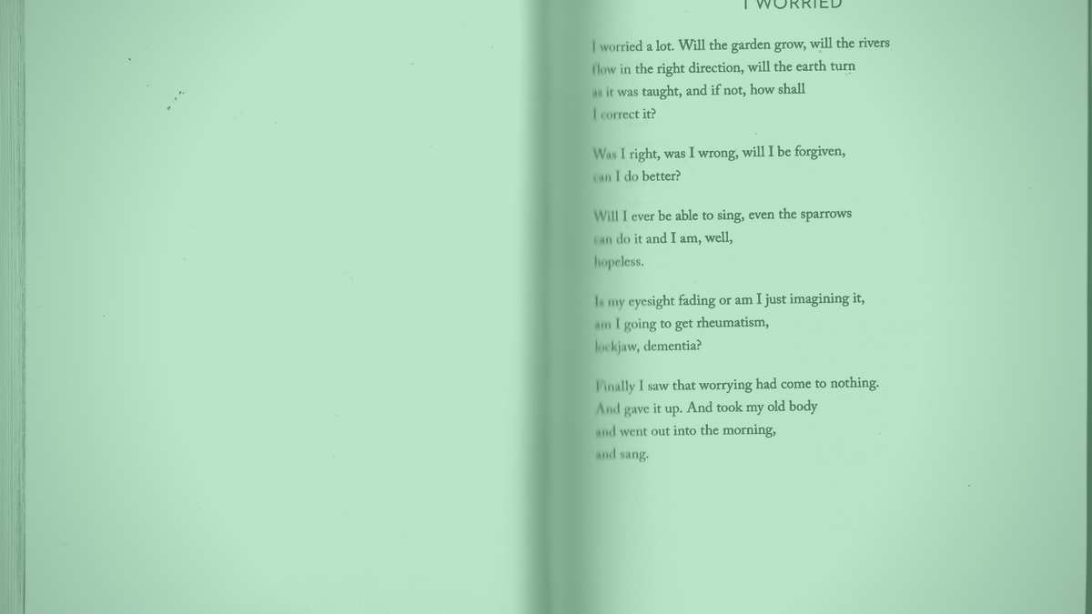 A photo of the poem "I worried" by Mary Oliver
