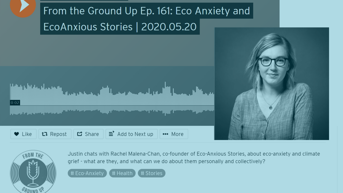 Cover of From the Ground Up