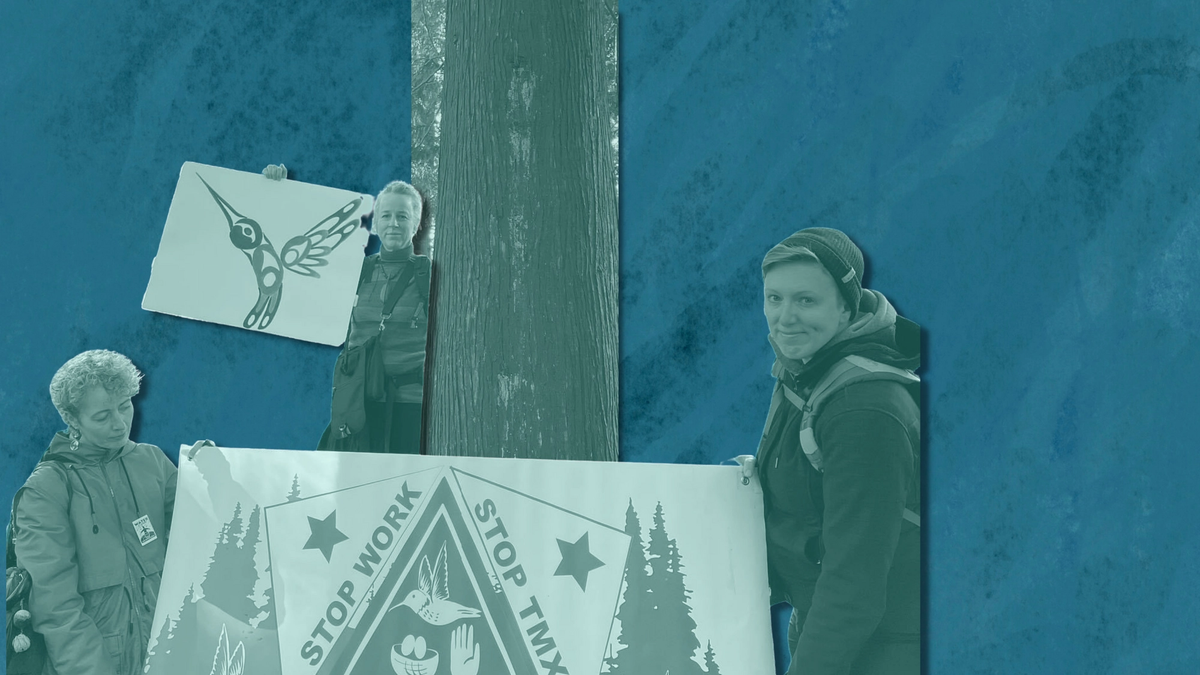 The author and her collaborators hold a sign saying Stop TMX Stop Work in front of a cedar tree at risk of being cut down to make way for a pipeline
