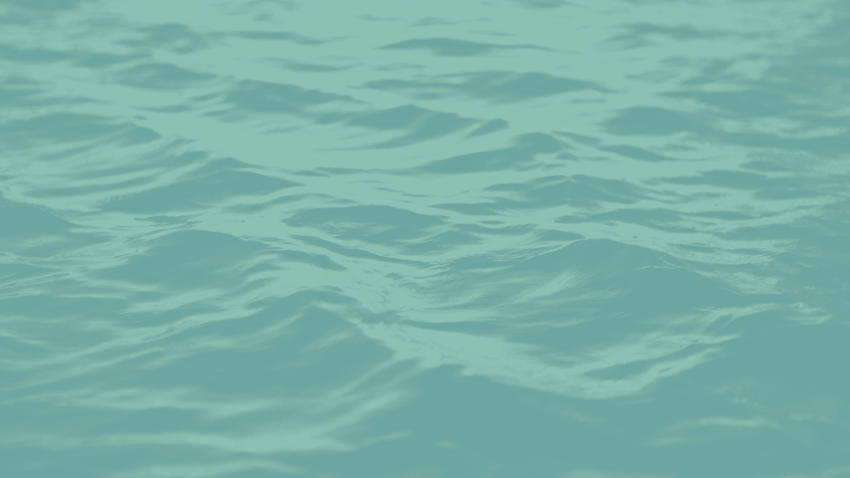 Picture of the sea