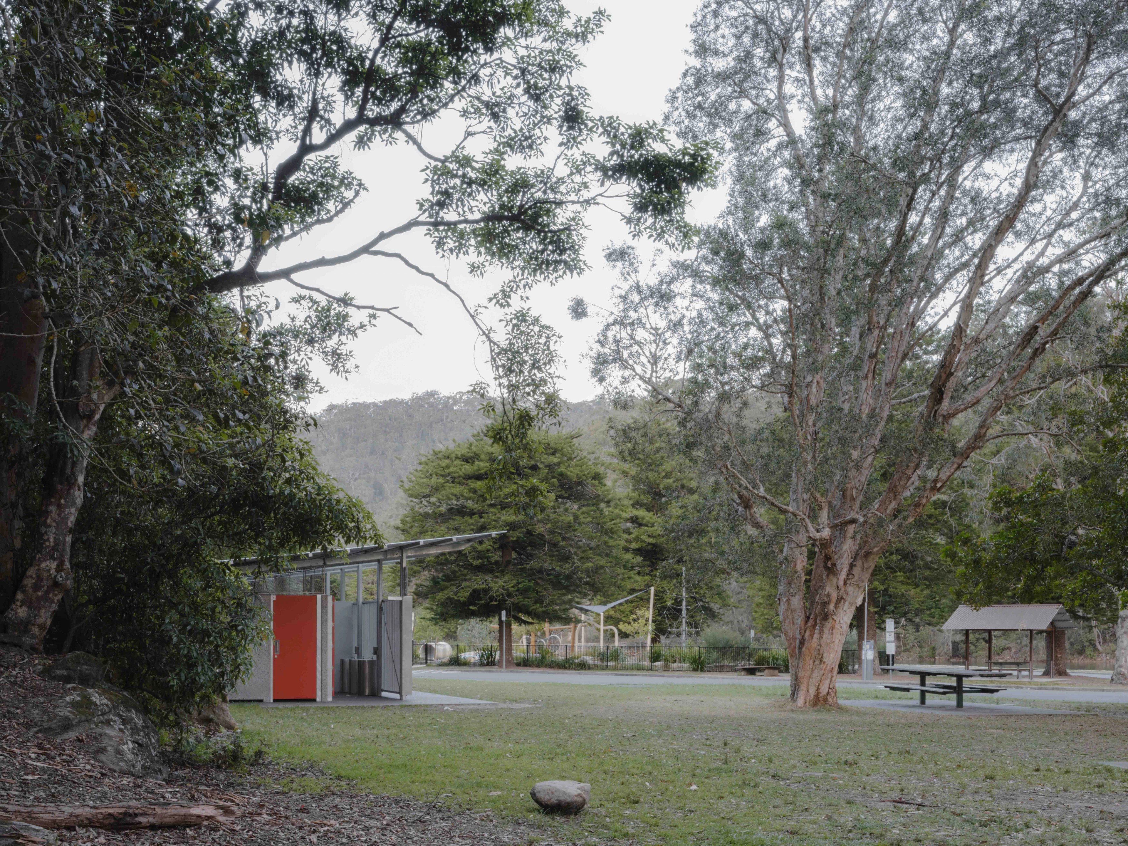 Aileen Sage Image