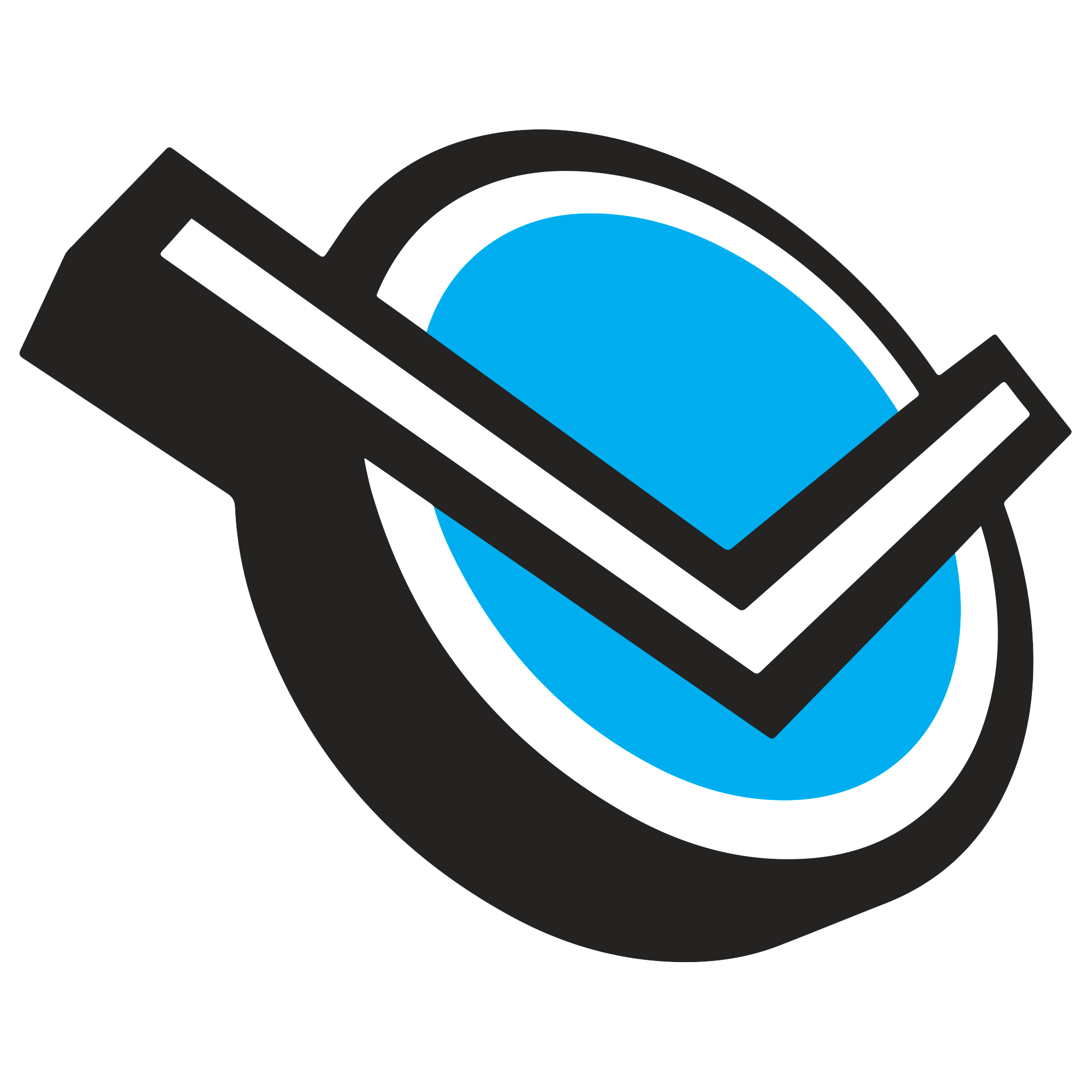 vmllogo