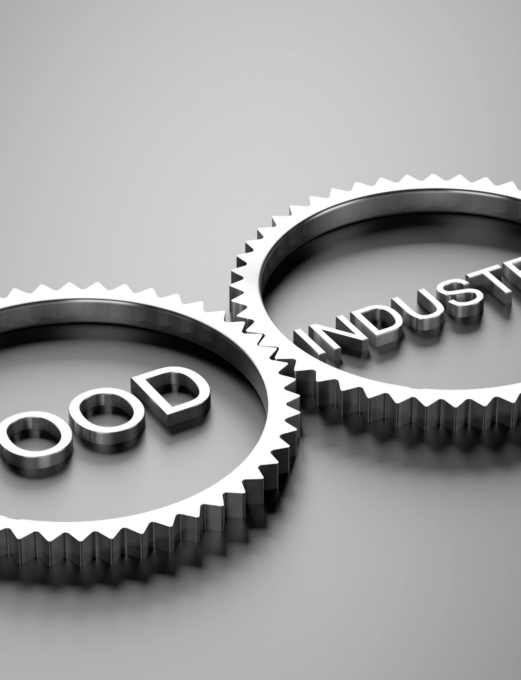 Two metallic gears, one with "FOOD" and the other with "INDUSTRY" written inside, interlock.