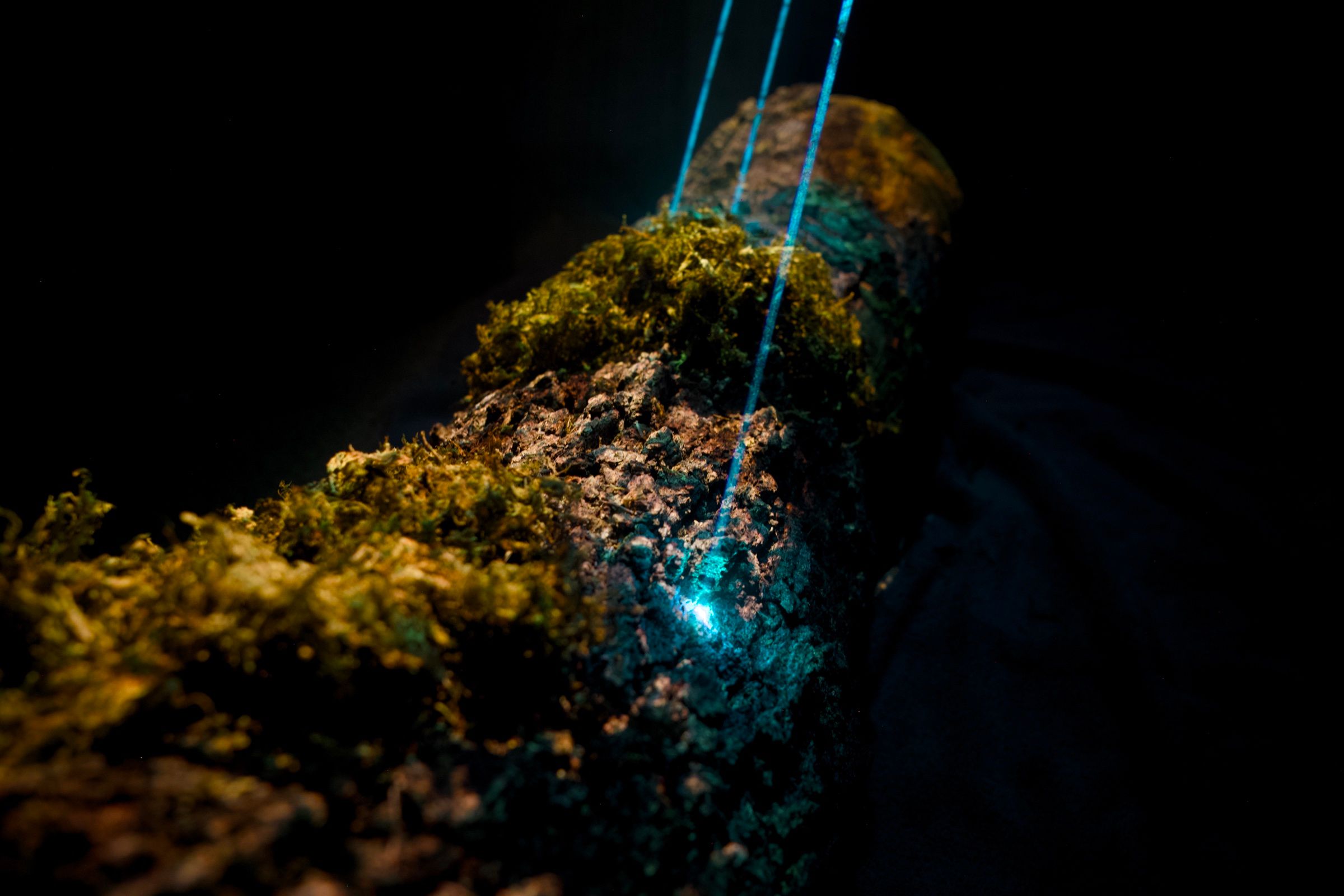 phill