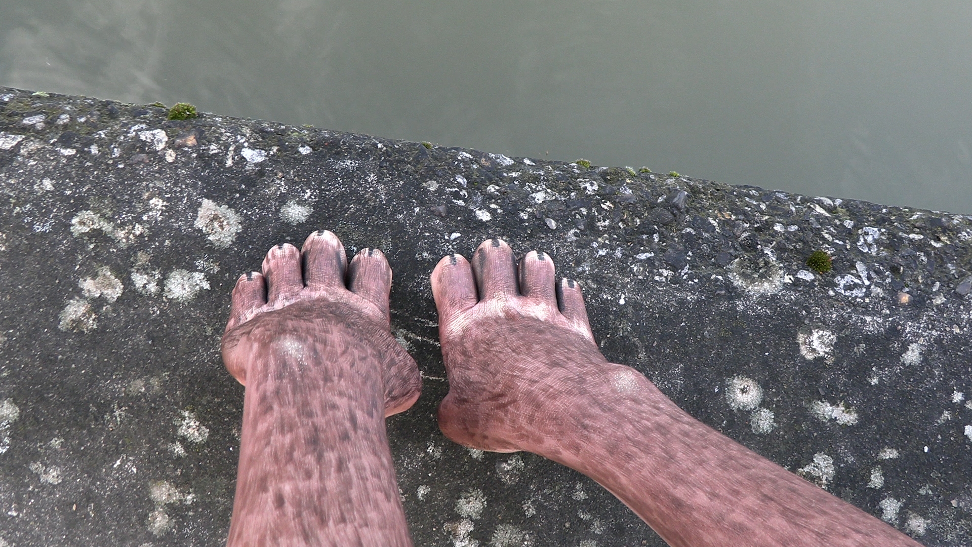 Videostill (cienetcanal,4k, 3.44min,without sound)-Notes on roommates(a dog, a parrot, a whale and a canal) by Sophia Mainka @ La Chaffrie Romainville, Videostill by Sophia Mainka, 2024