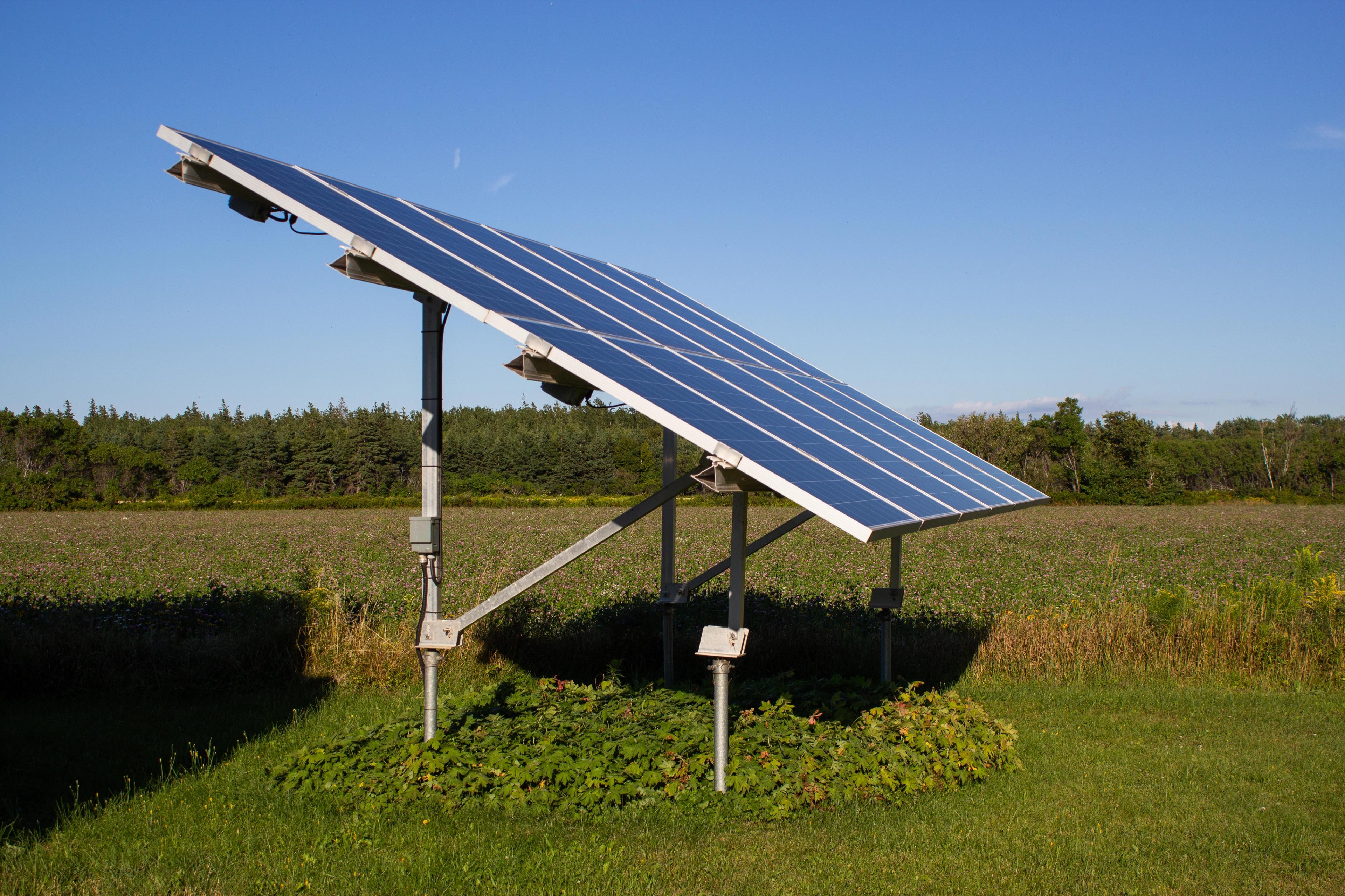 Solar panel ground mount on screw piles