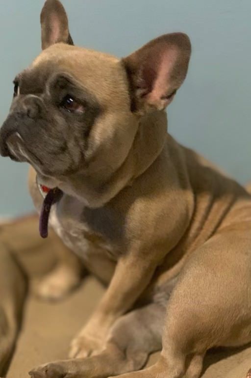 Lila sitting down on her bed