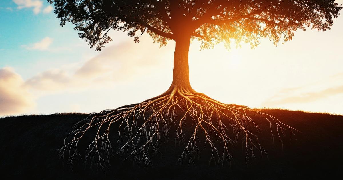 Green Burials: A Return to Natural Death Care Practices