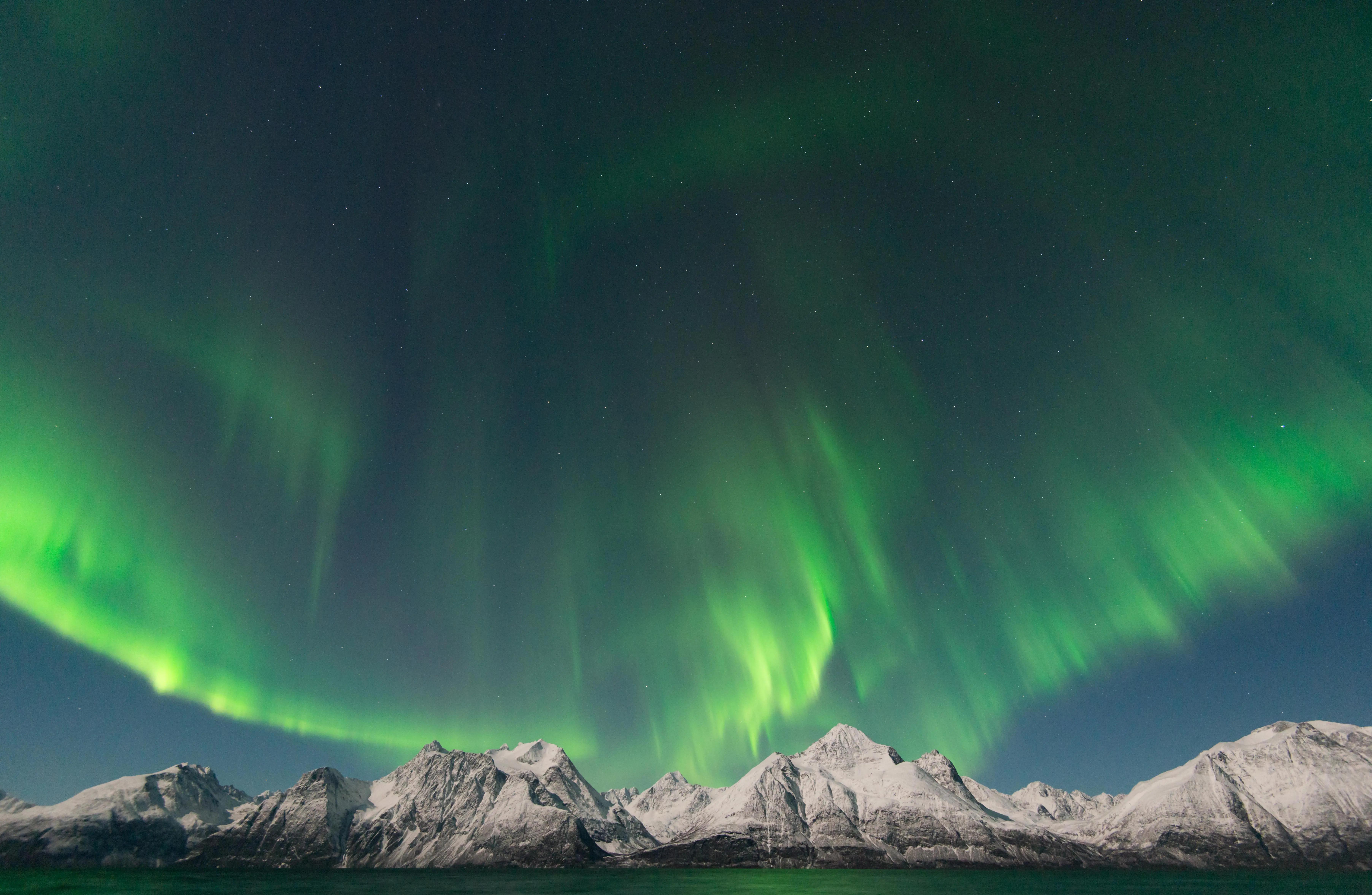 Northern lights above the Lyngen Alps in Norway.
