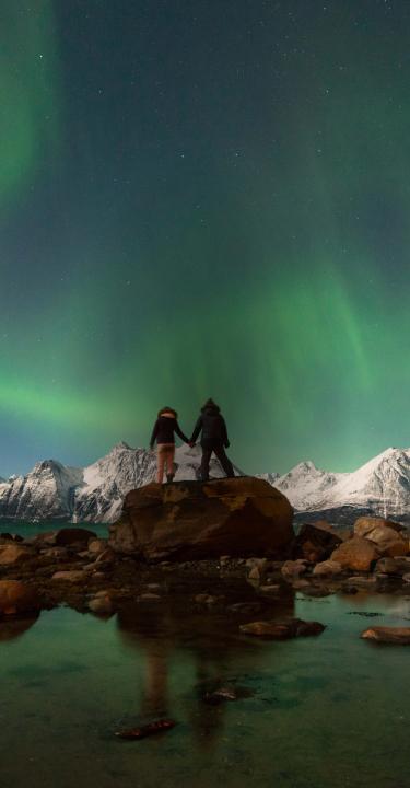 people and northern lights