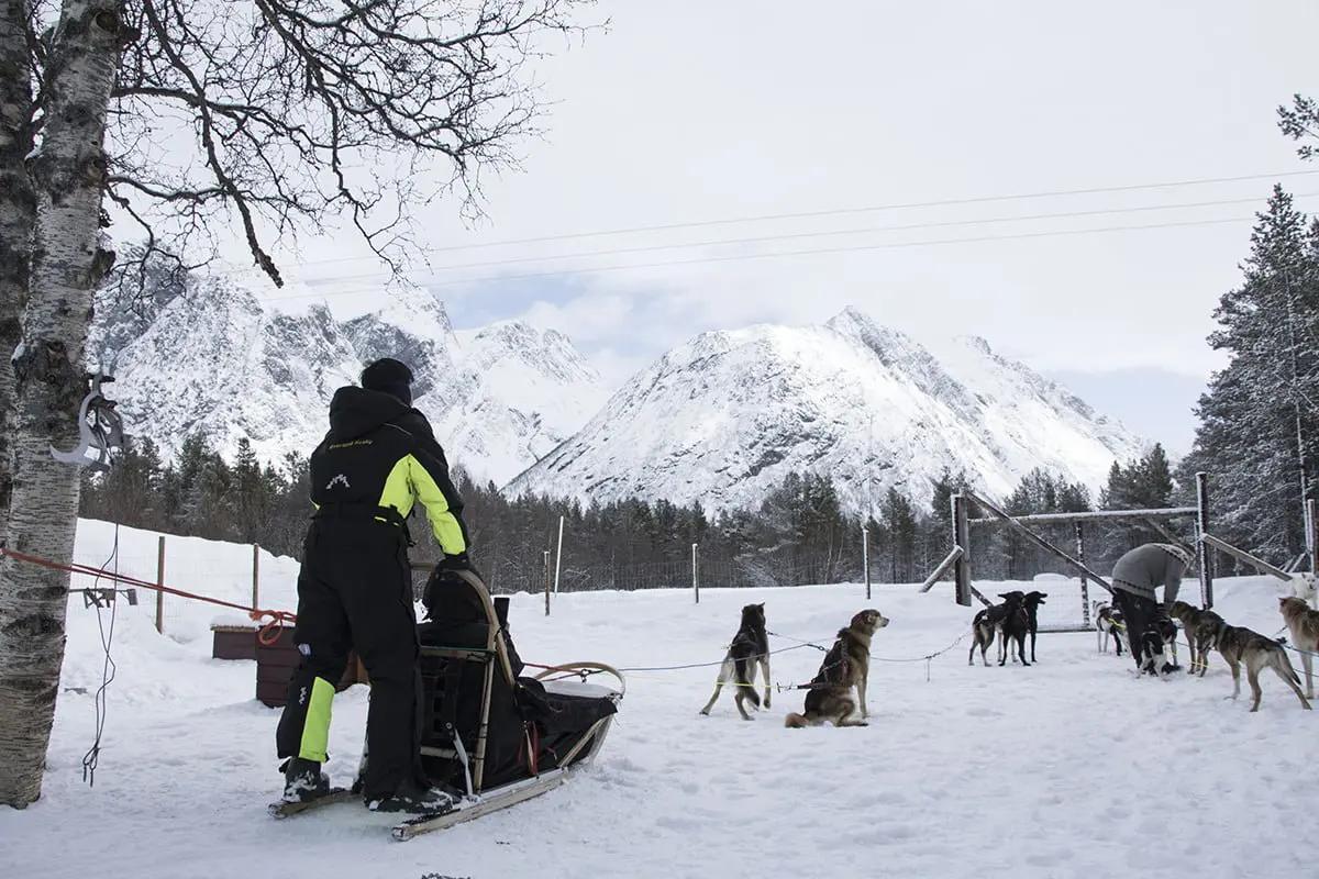 Guests at Lyngen North doing the husky sledding activity close to Reisa National Park