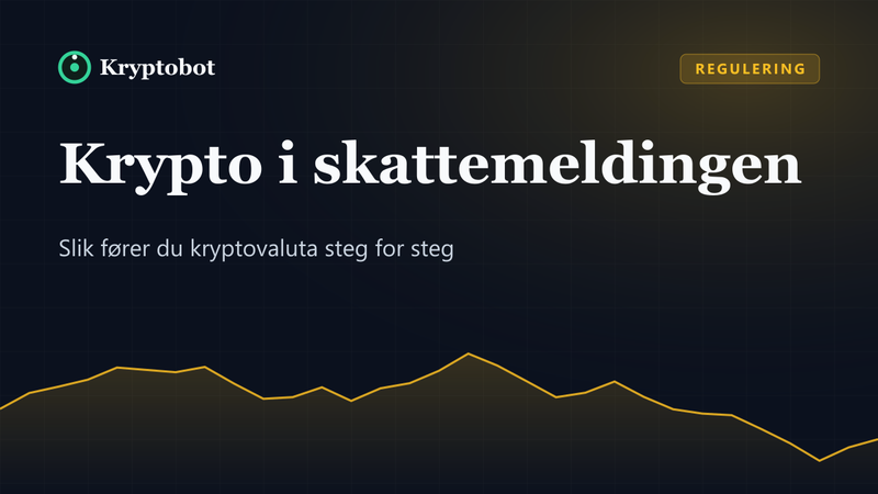 Illustrasjon: Krypto i skattemeldingen – Kryptobot