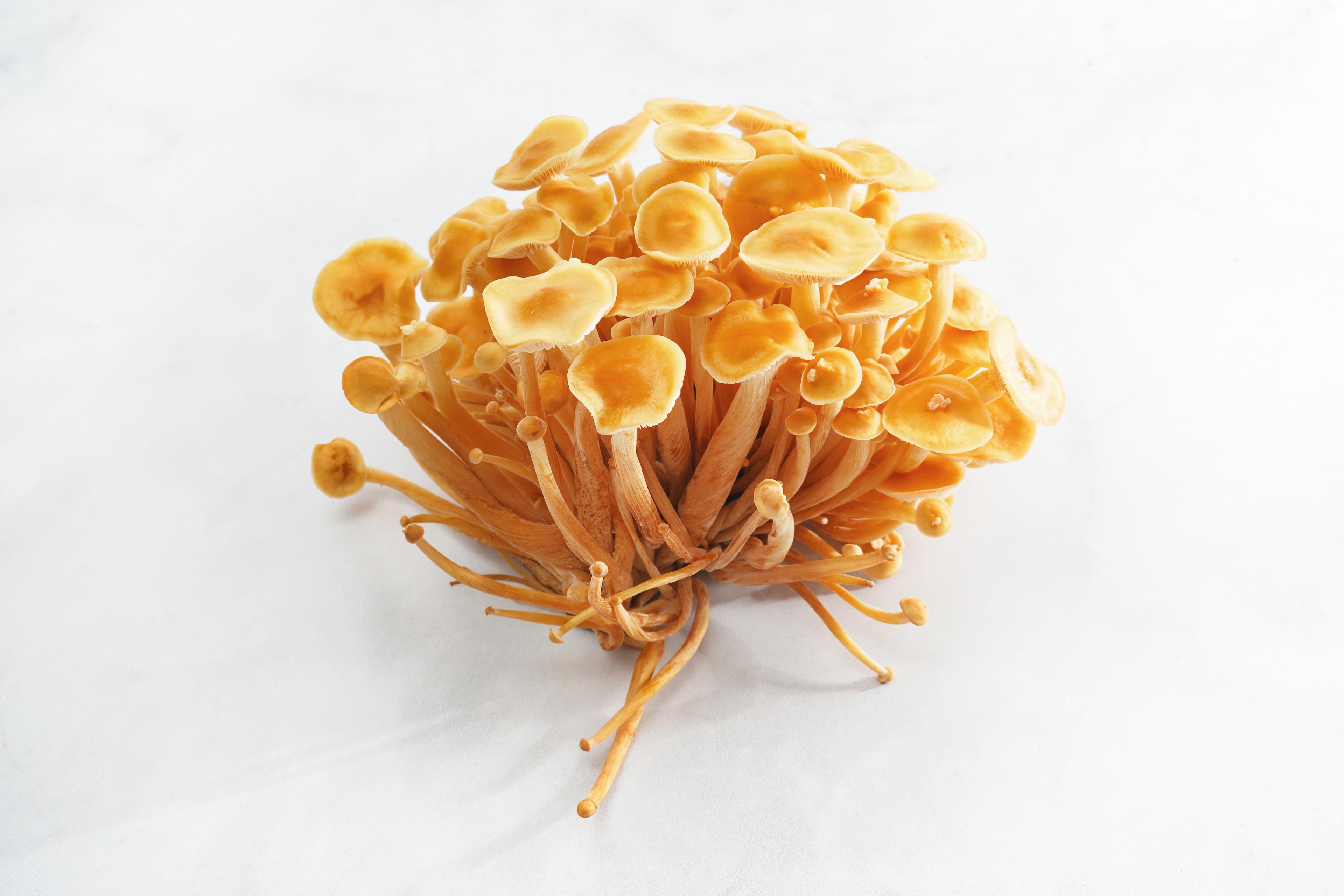 Image from Farm to People