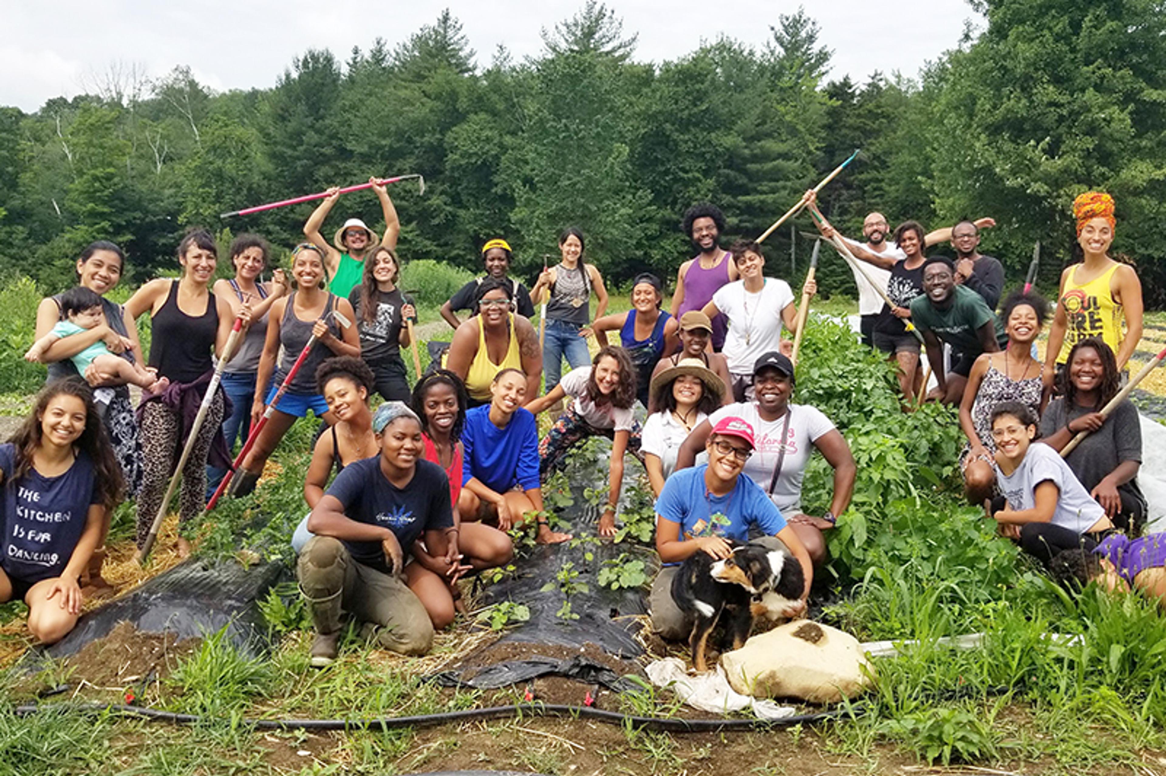 Soul Fire Farm is a BIPOC-centered community farm committed to ending racism and injustice in the food system.