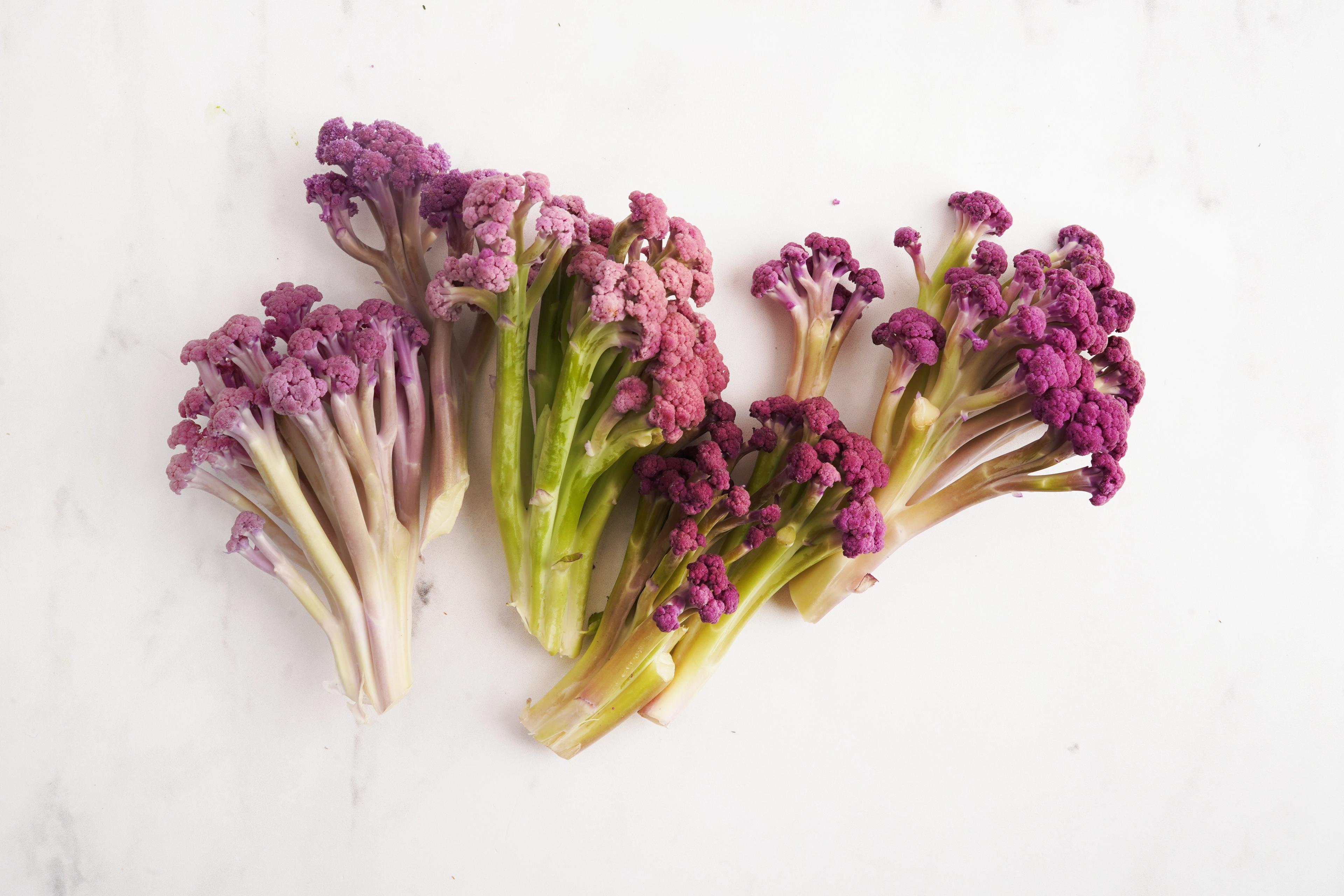 Image from Farm to People