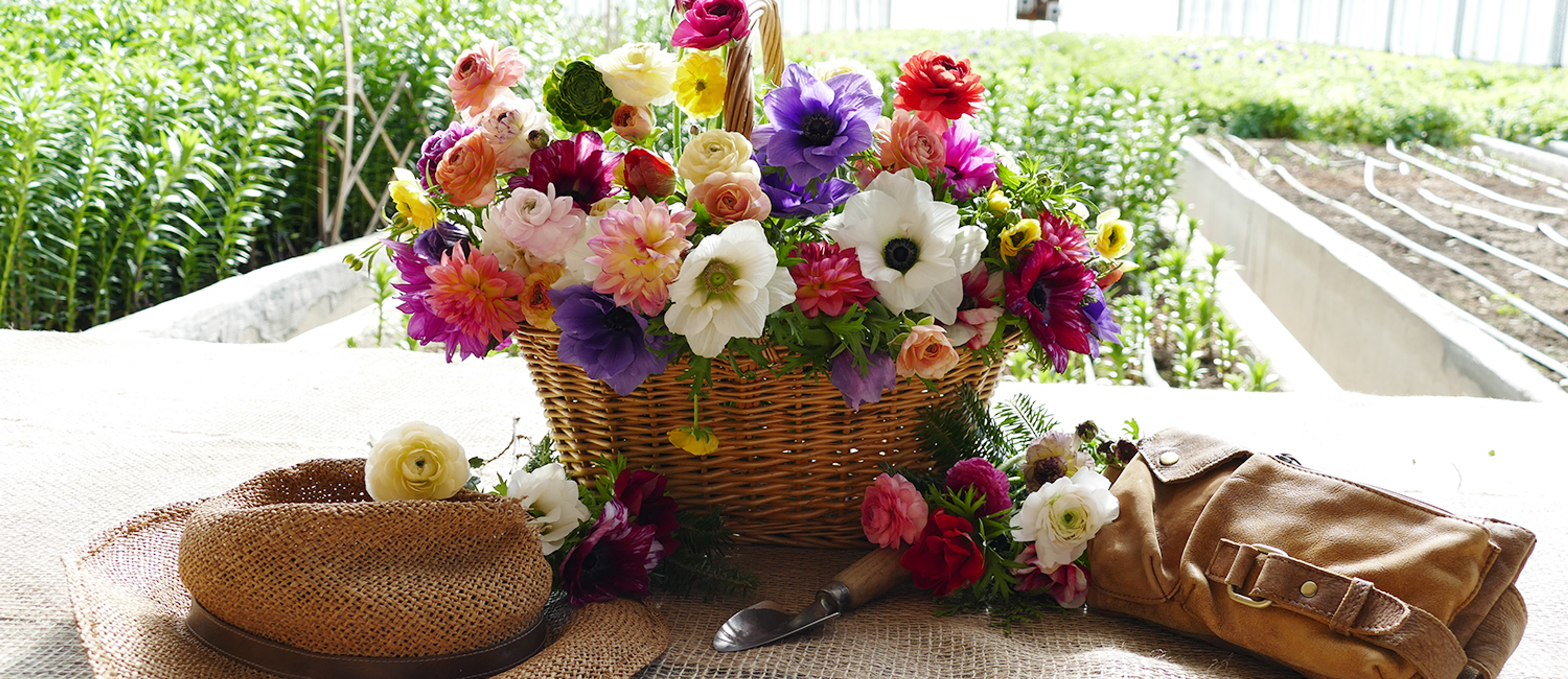 Image from Farm to People