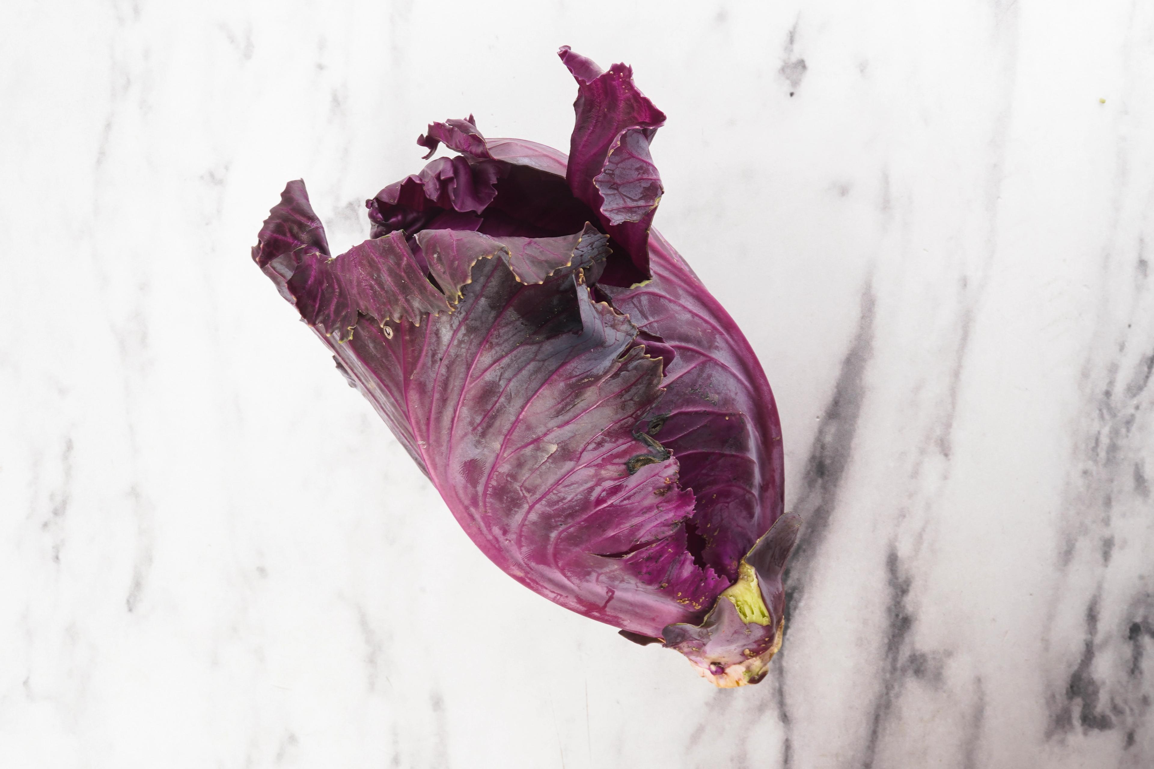 Image from Farm to People