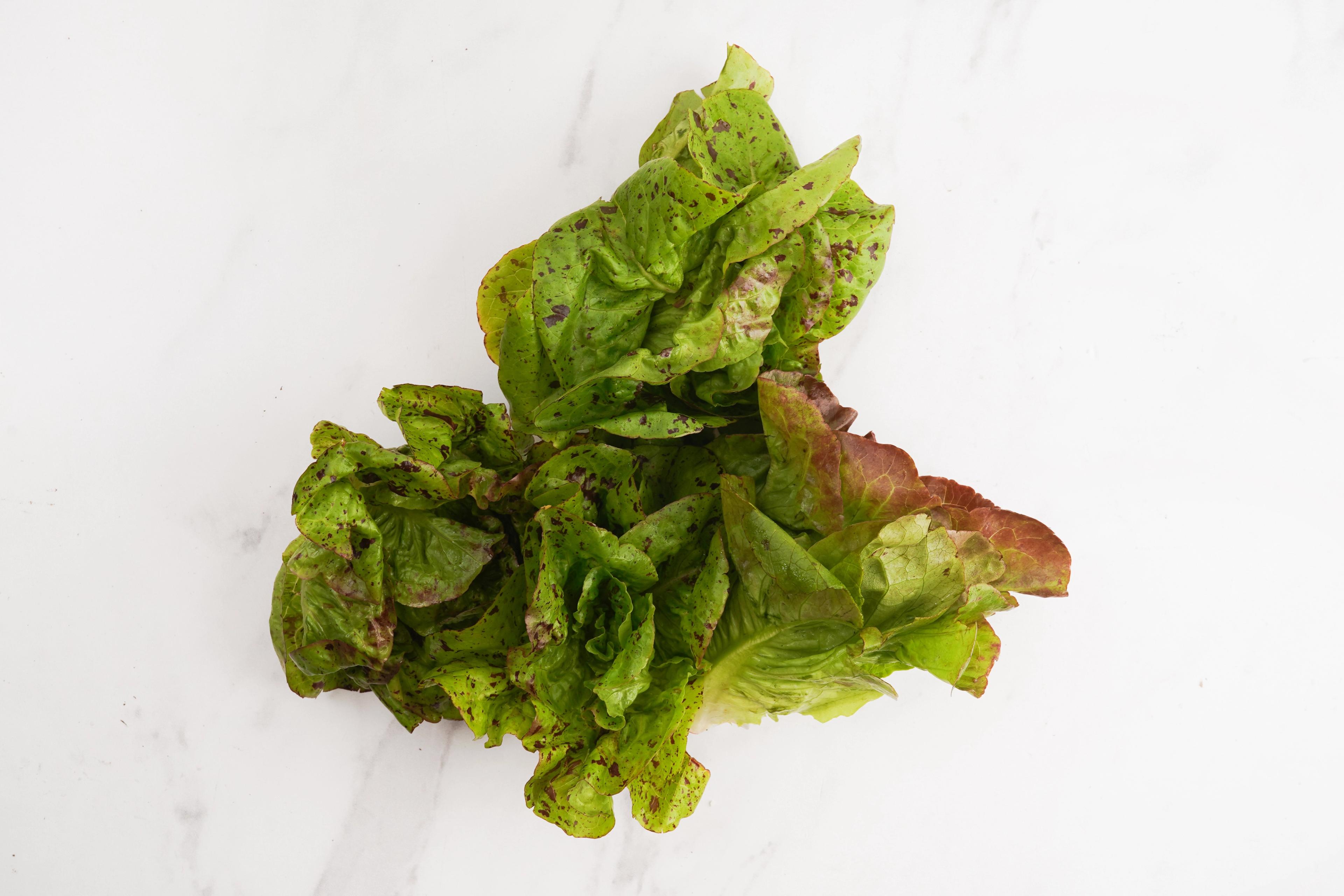 Image from Farm to People