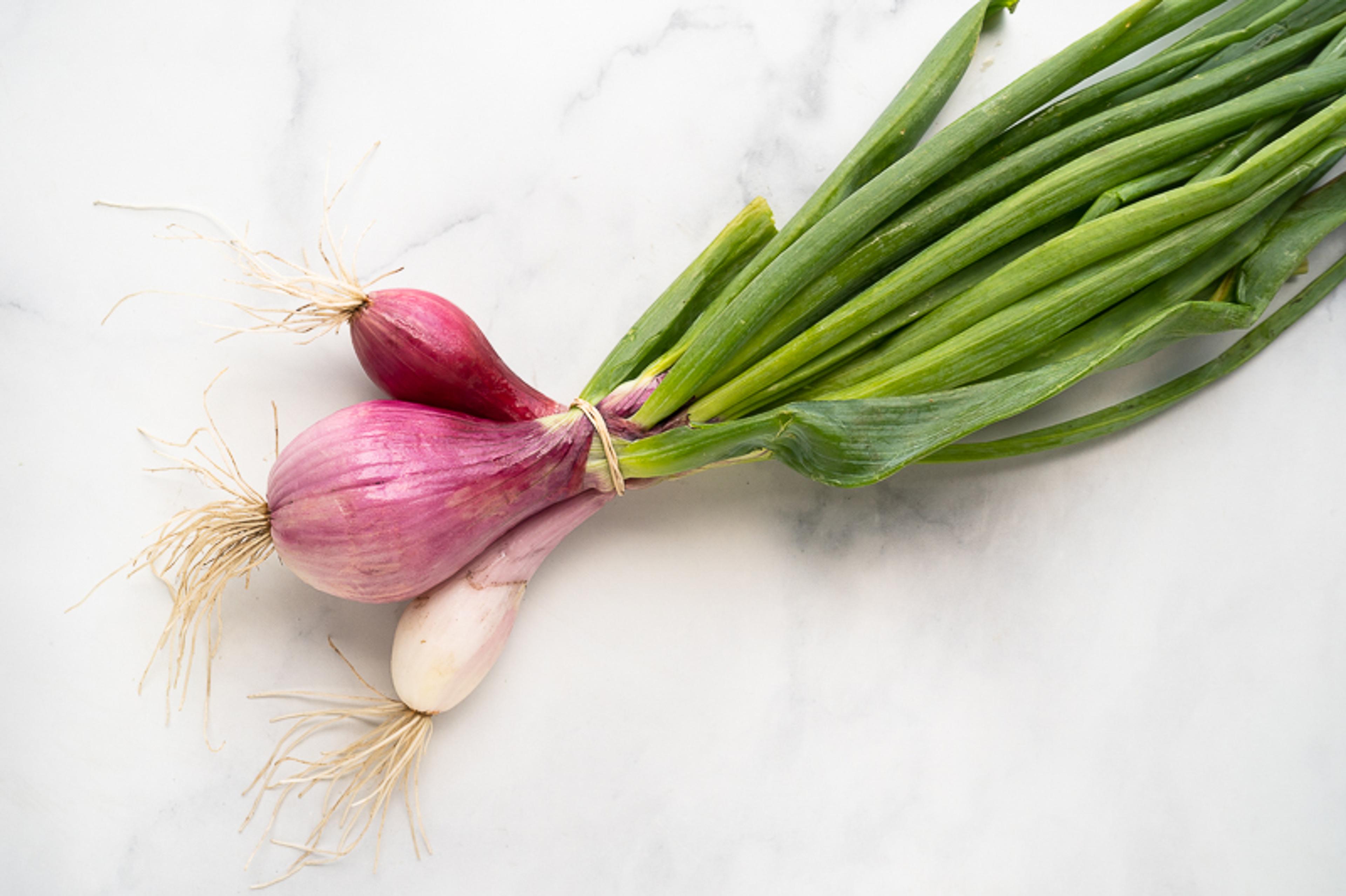 Image from Farm to People