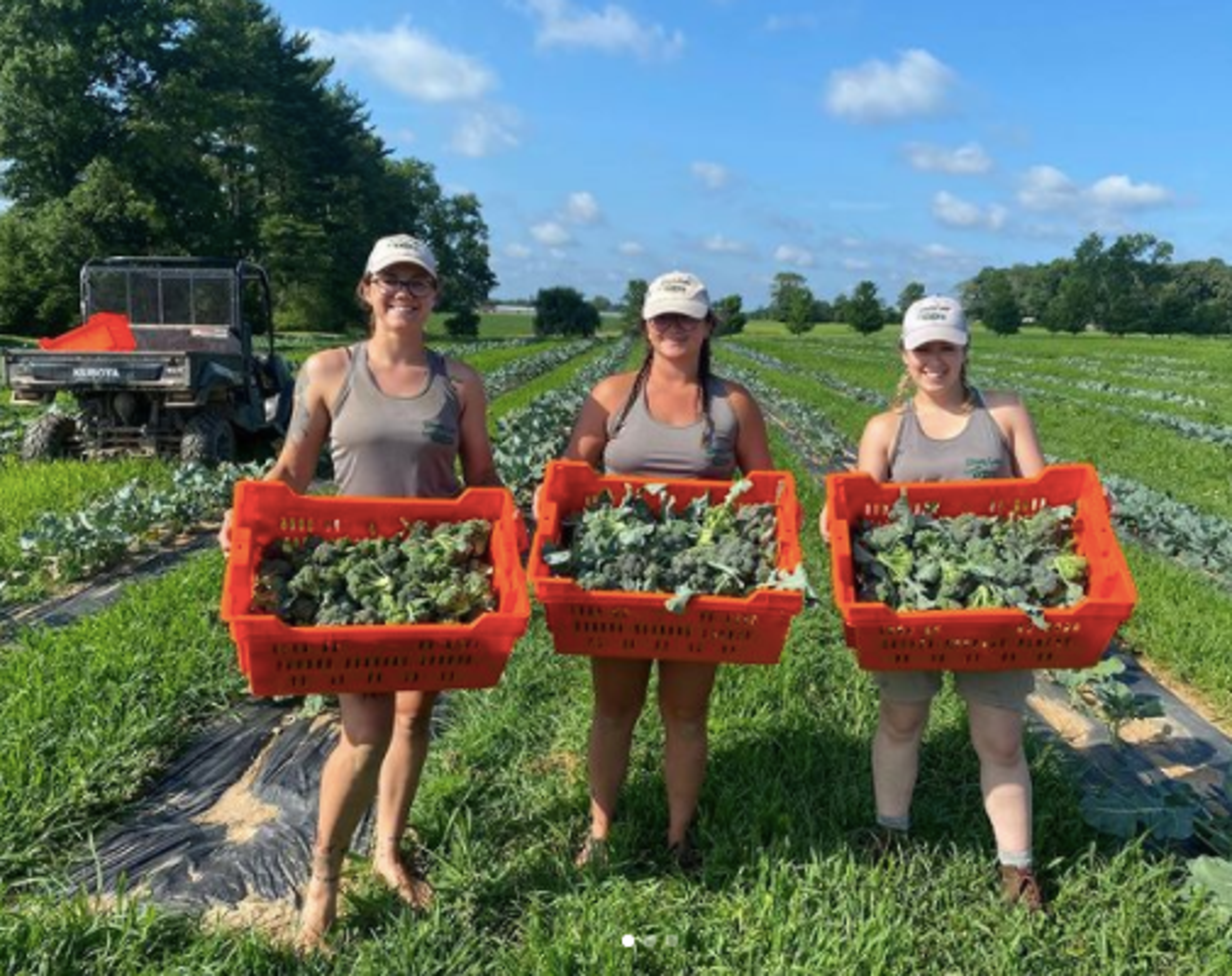 Image from Farm to People