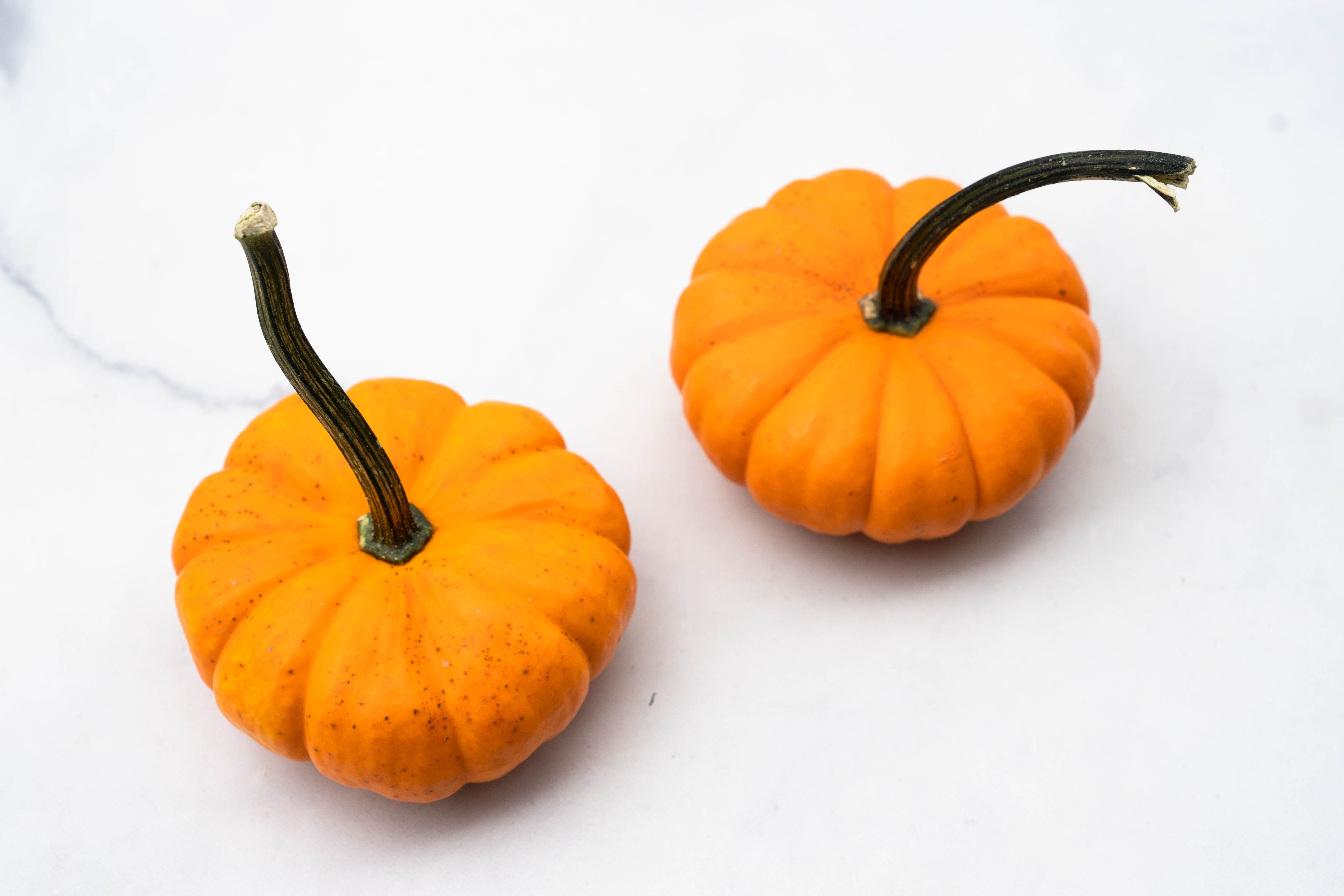 Buy Decorative Baby Pumpkins For Delivery Near You | Farm To People