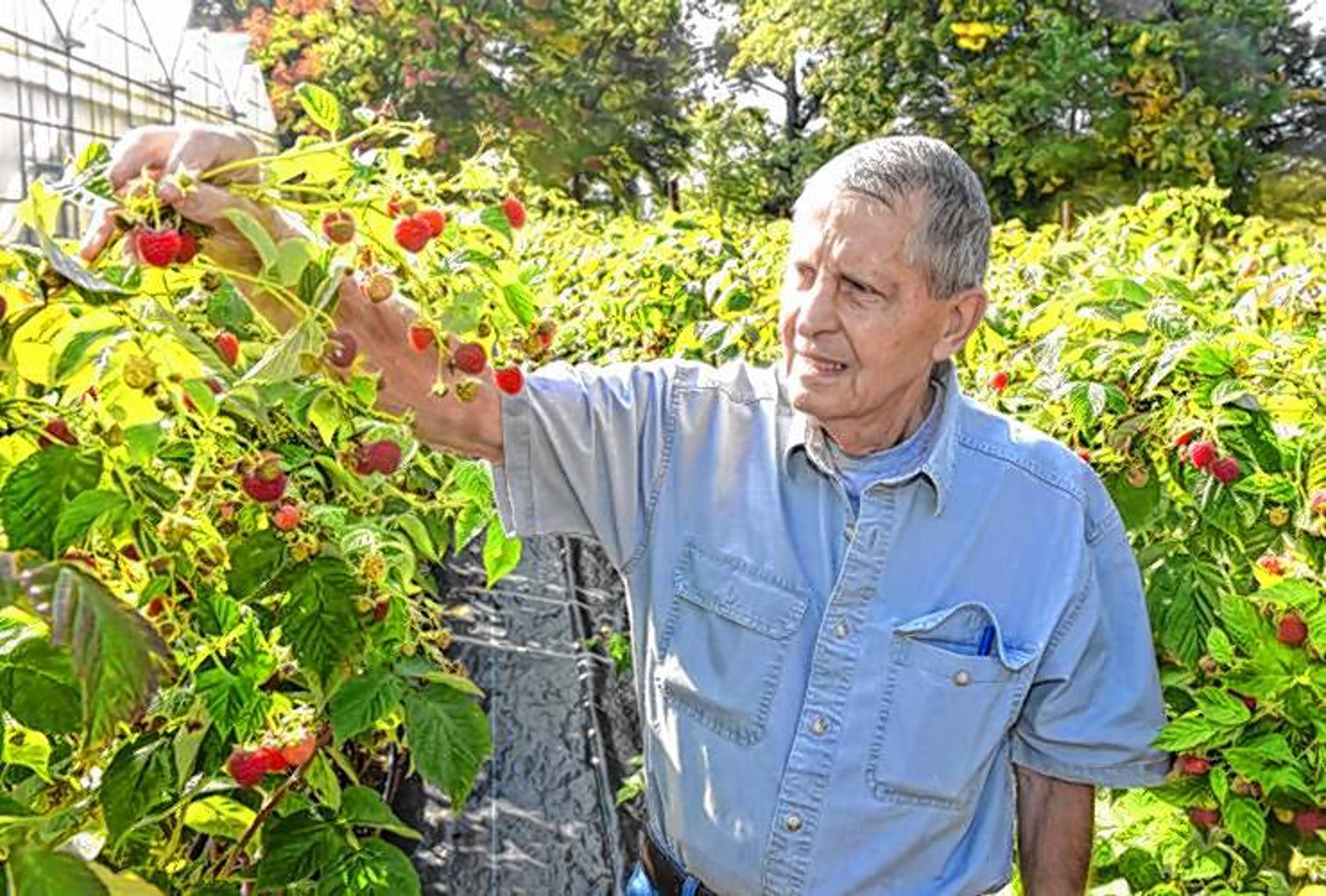 Image from Farm to People