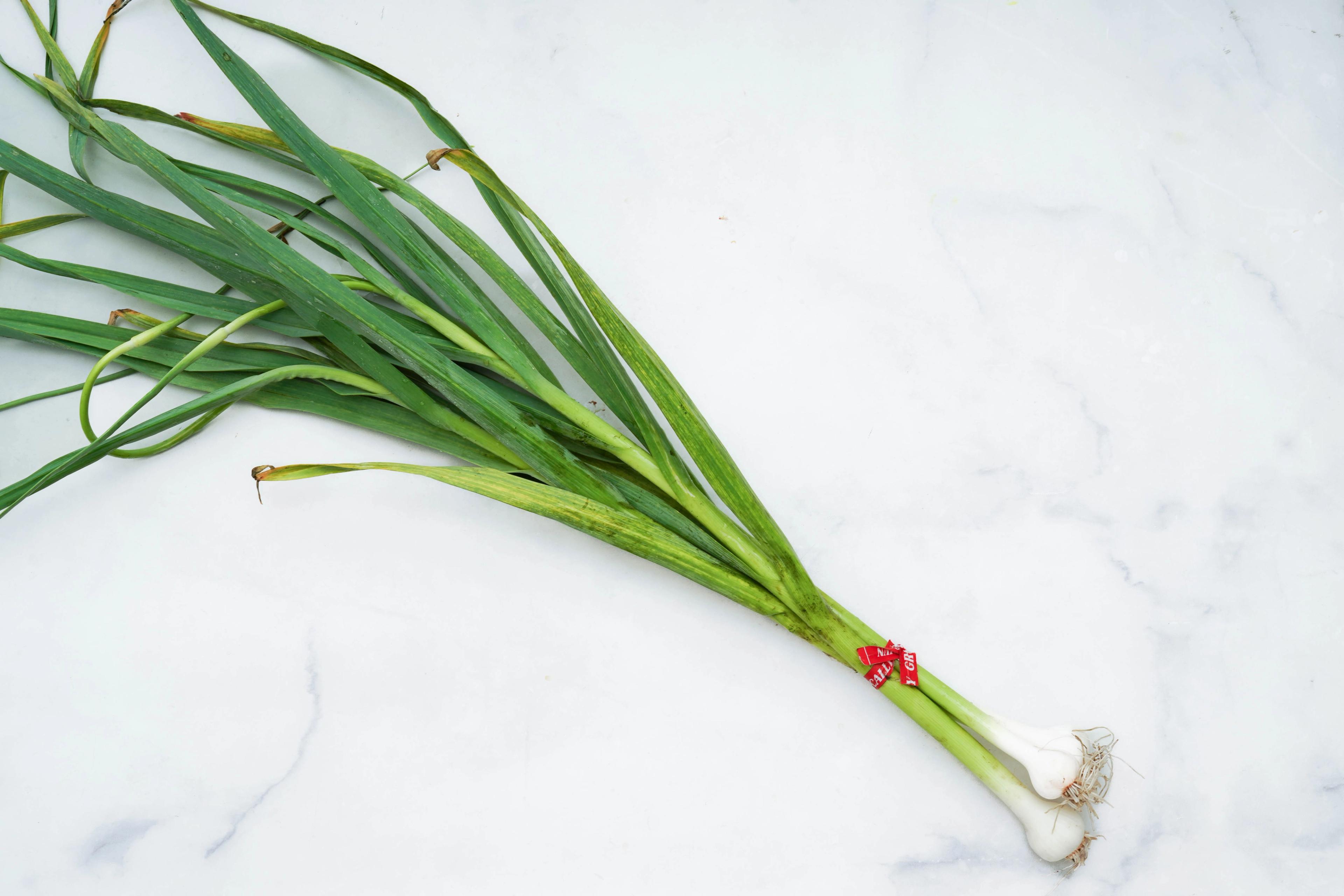 Image from Farm to People