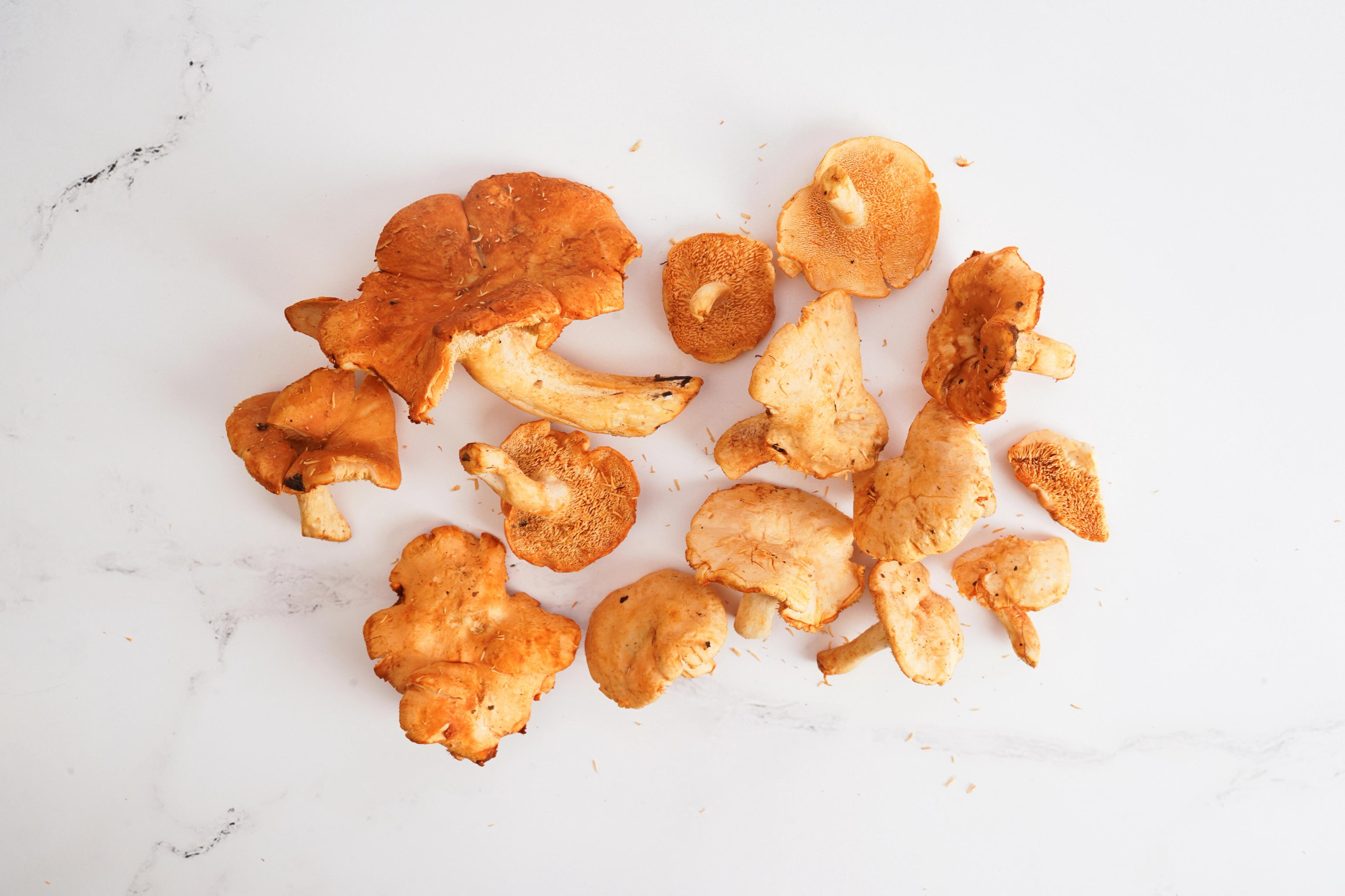 Image from Farm to People