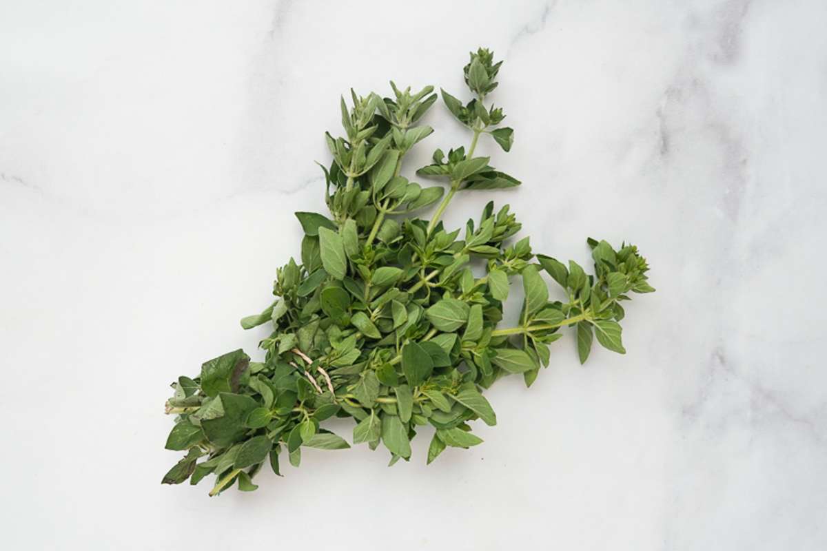 Buy Oregano For Delivery Near You Farm To People