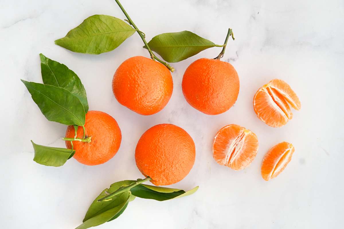 Buy Page Mandarins For Delivery Near You Farm To People