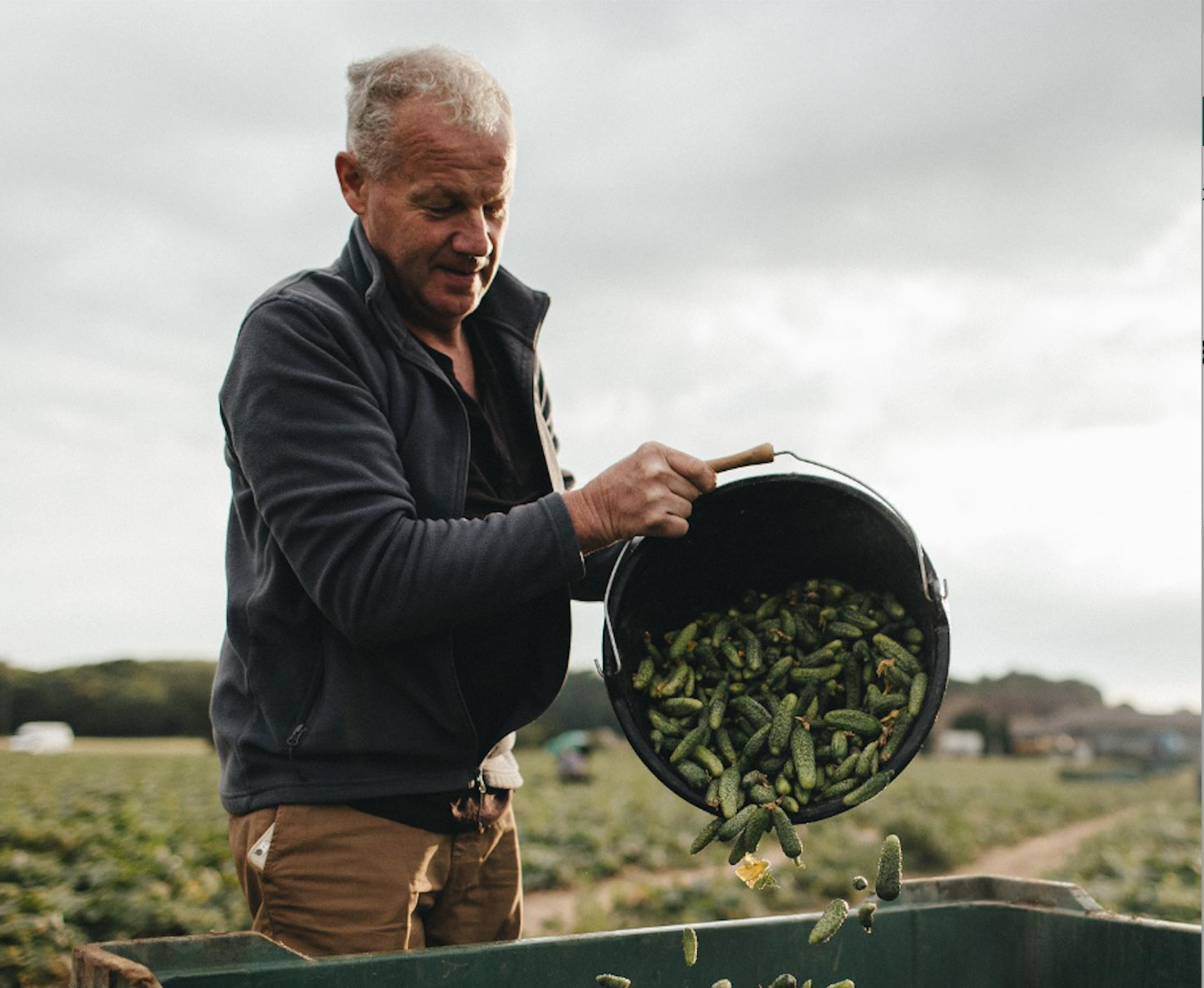 Image from Farm to People