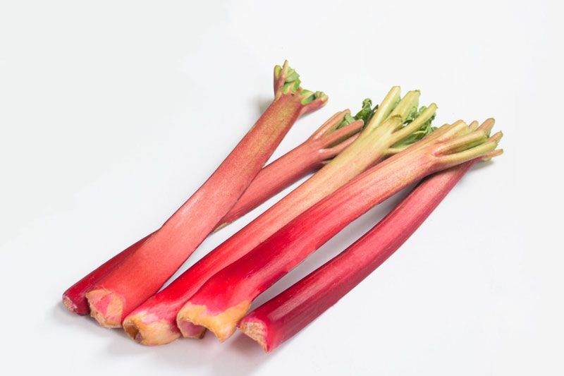 Where to Buy Rhubarb Near Me