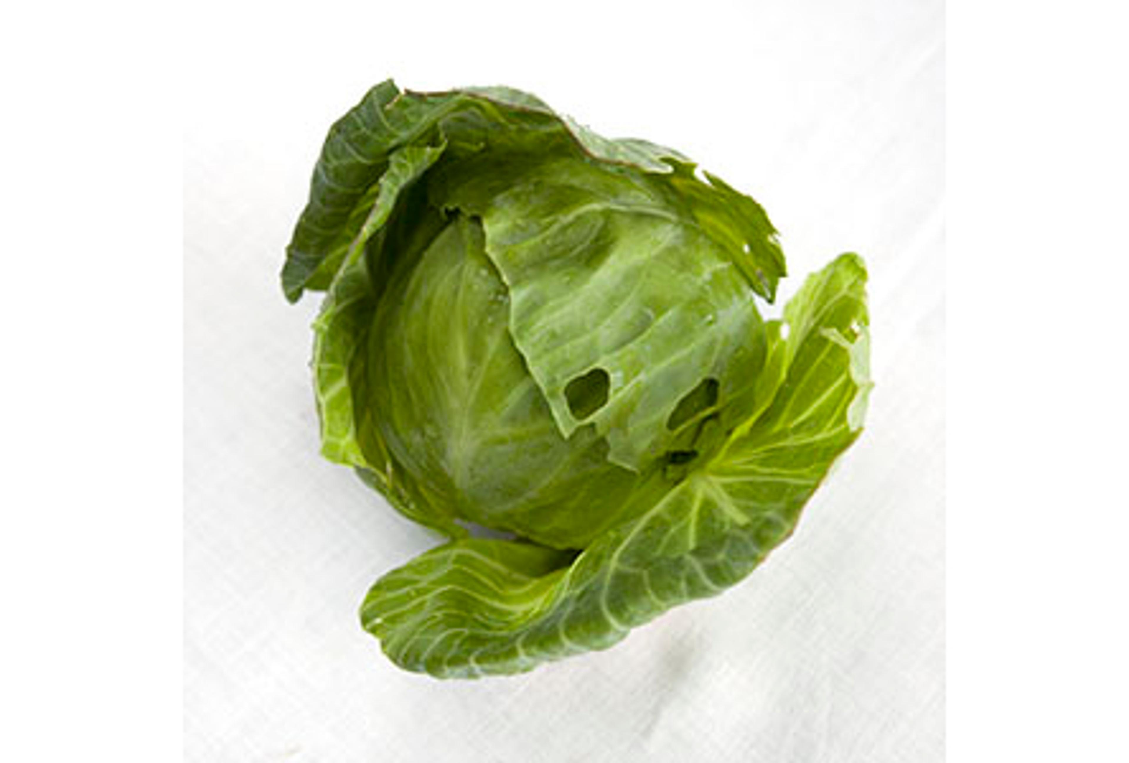 Image from Farm to People