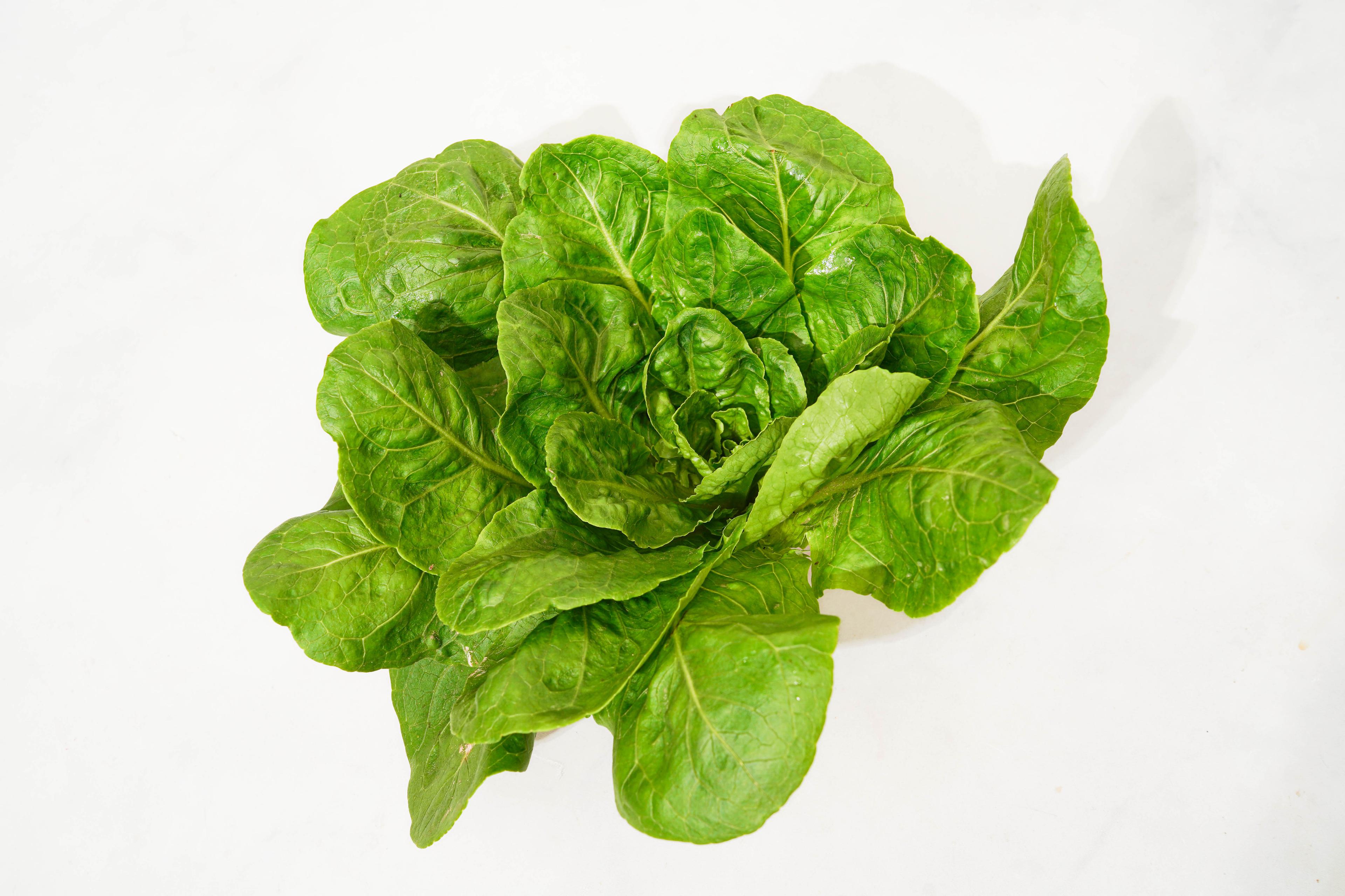 Image from Farm to People