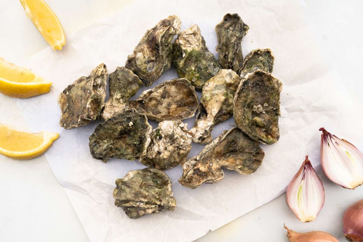 Buy Kumamoto Oyster For Delivery Near You Farm To People