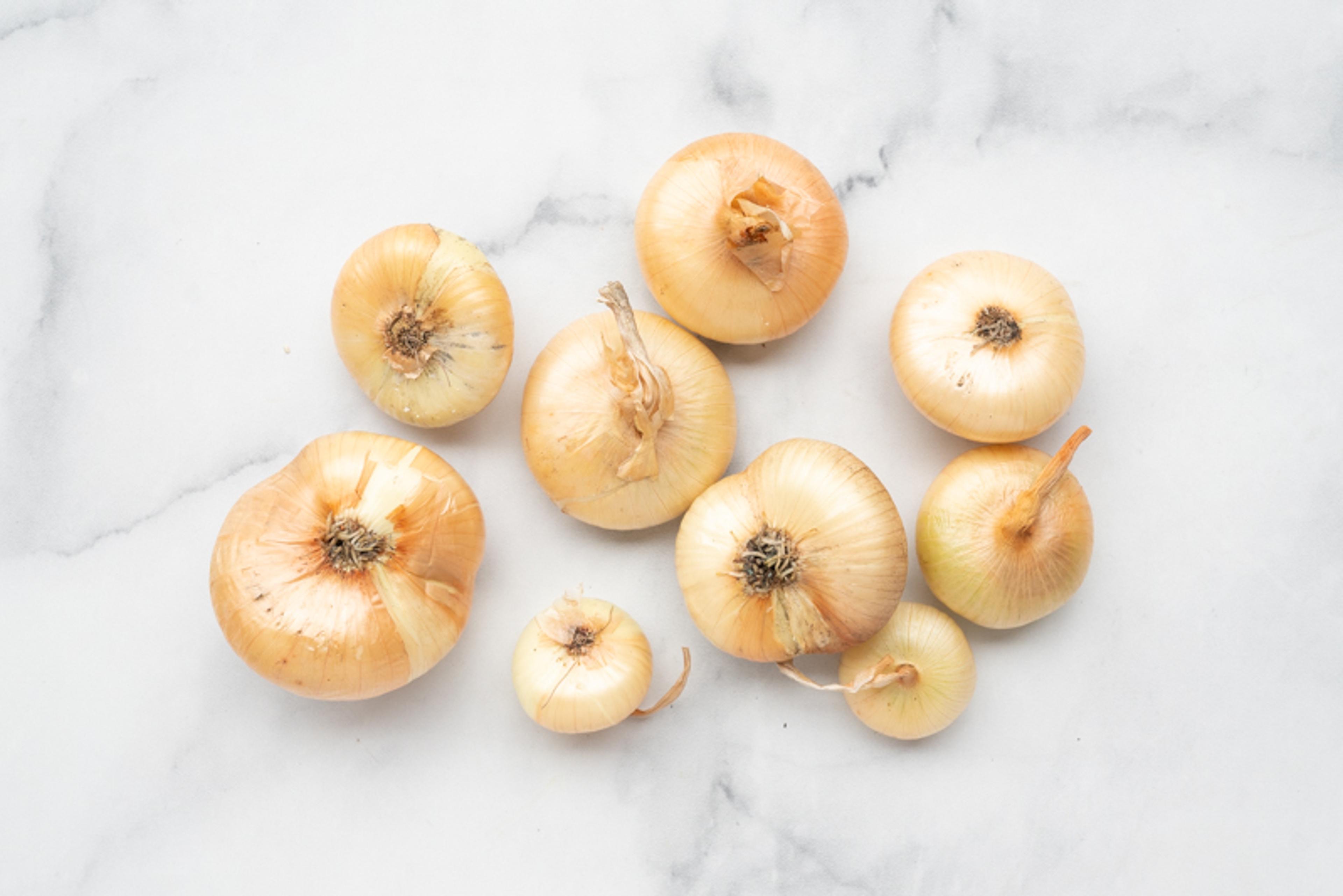 Image from Farm to People