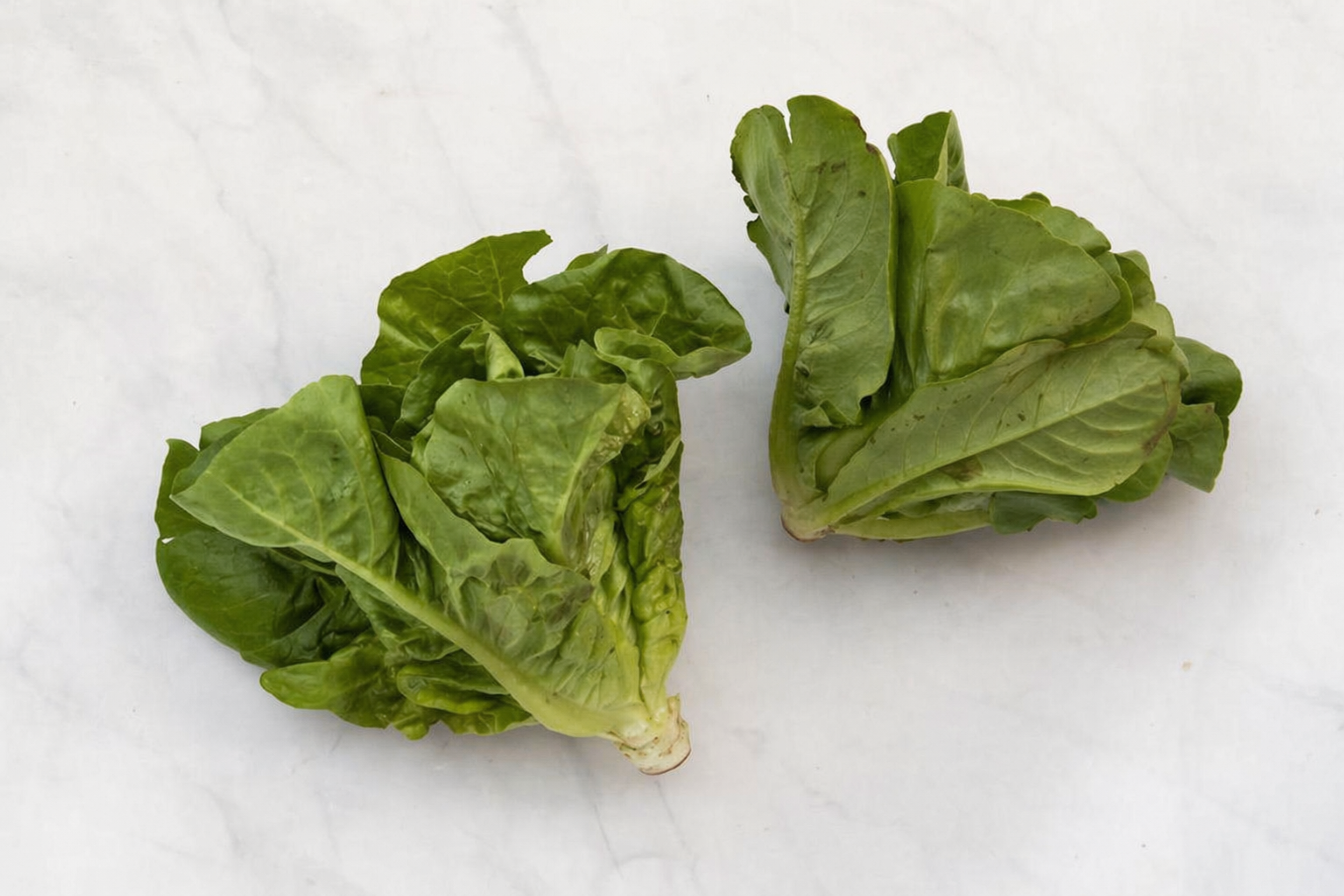 Image from Farm to People