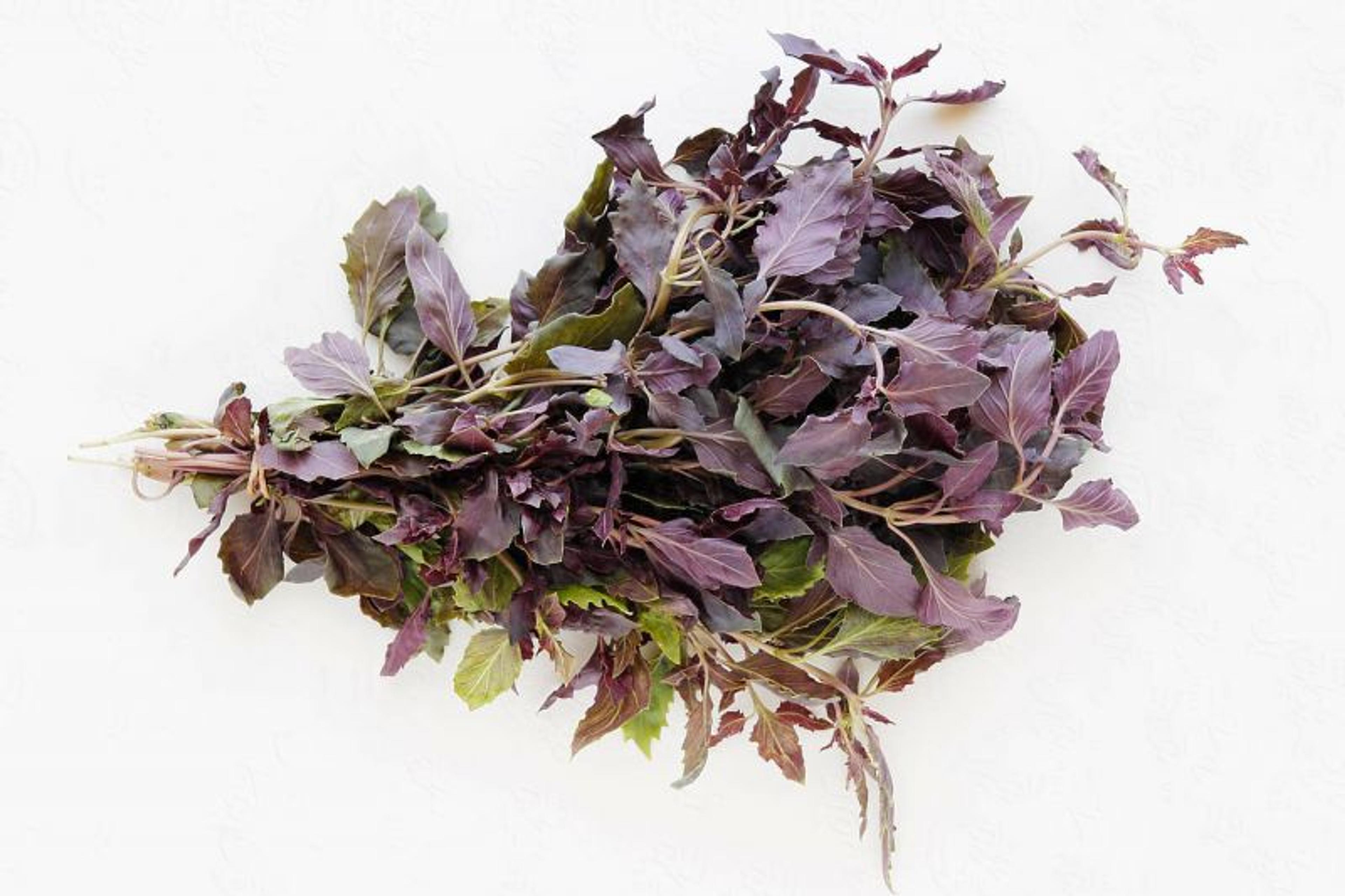 Image from Farm to People