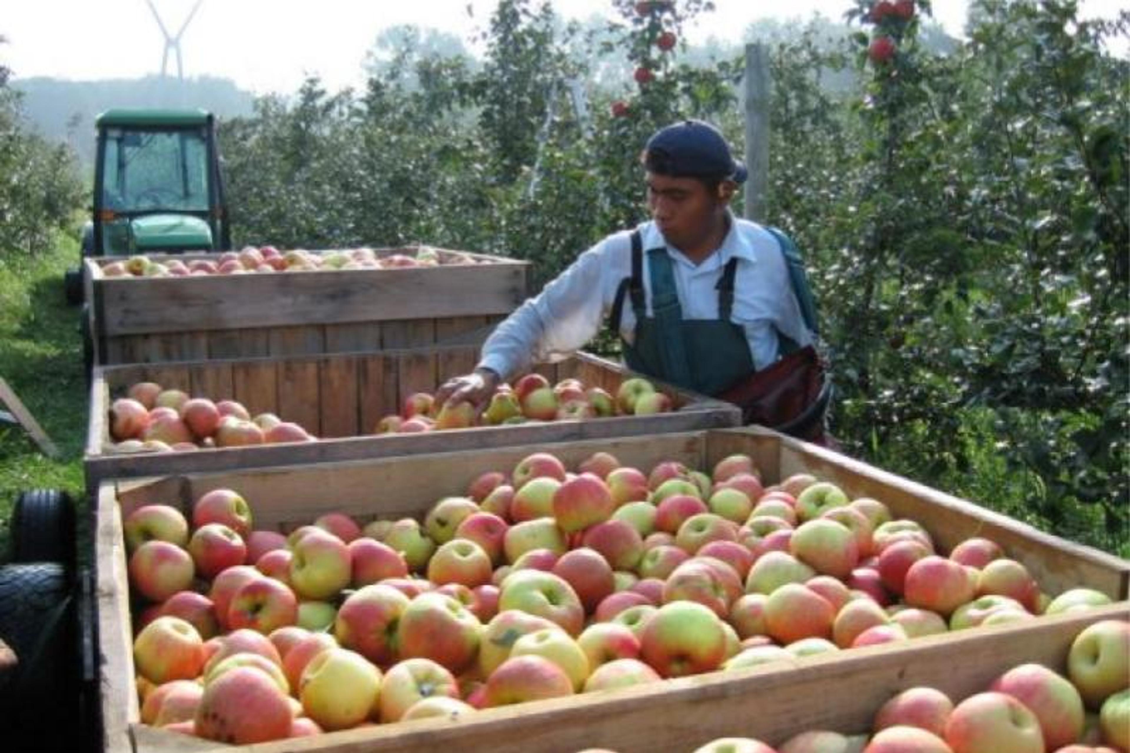 Image from Farm to People