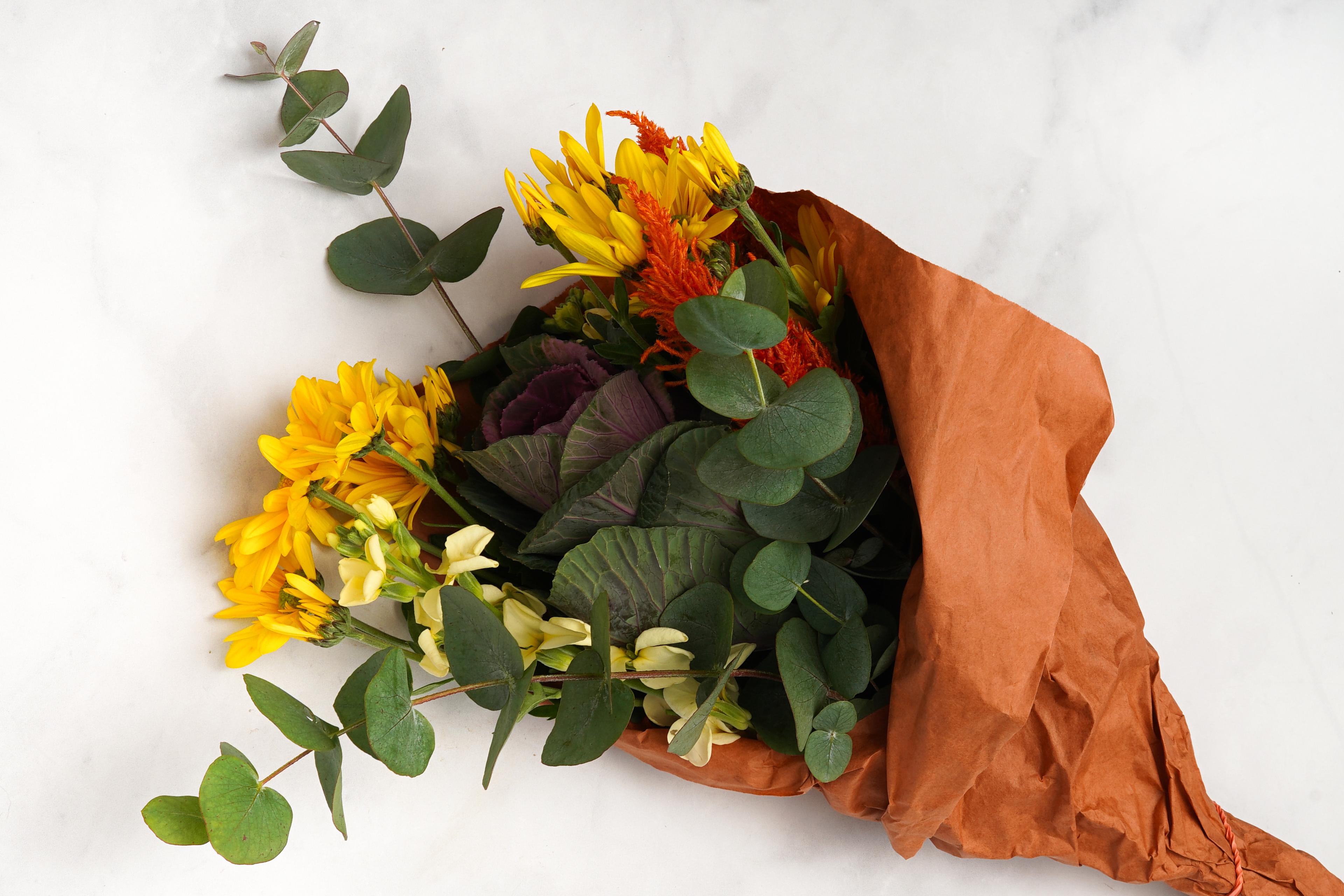 Image from Farm to People