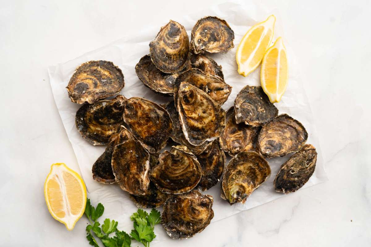 Buy Wellfleet Oysters For Delivery Near You Farm To People