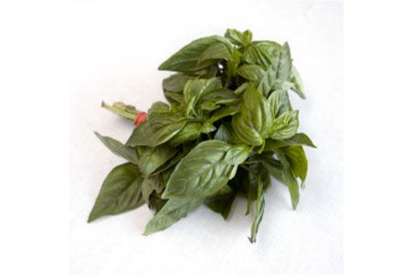 Buy Thai Basil For Delivery Near You Farm To People   3066a5b1b173824a53aab3453806672008ed22f3 452x301 