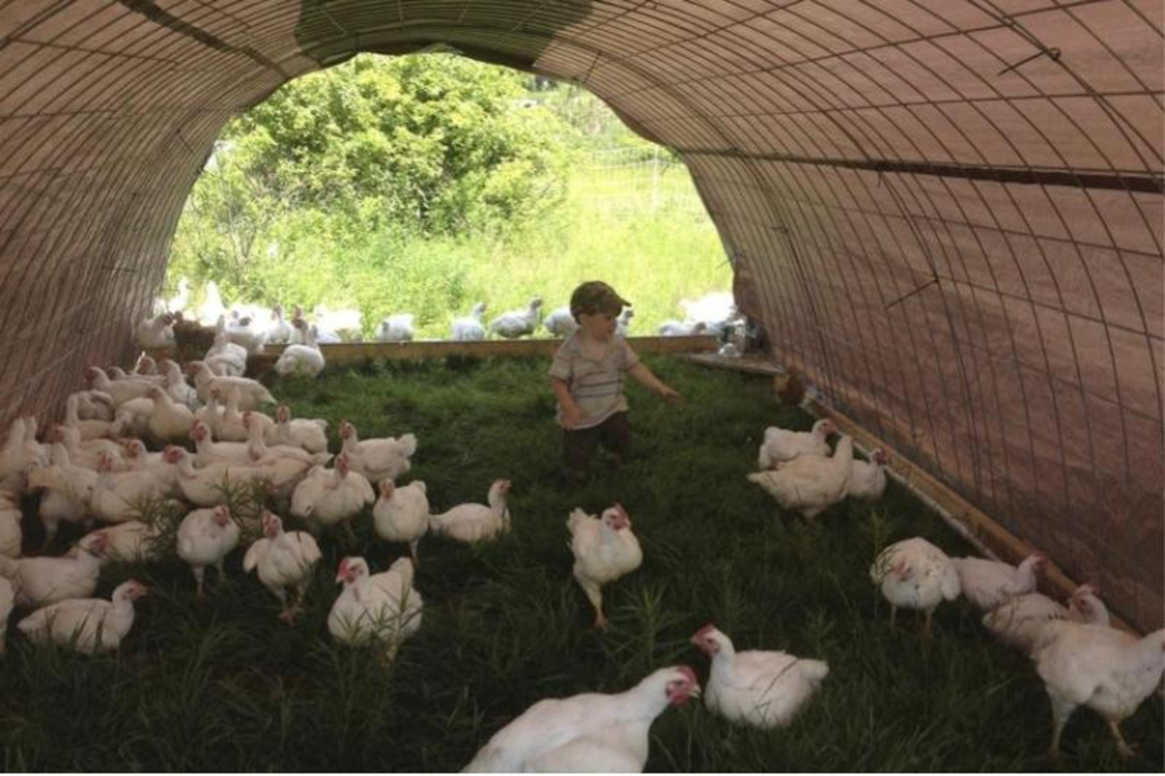 Image from Farm to People